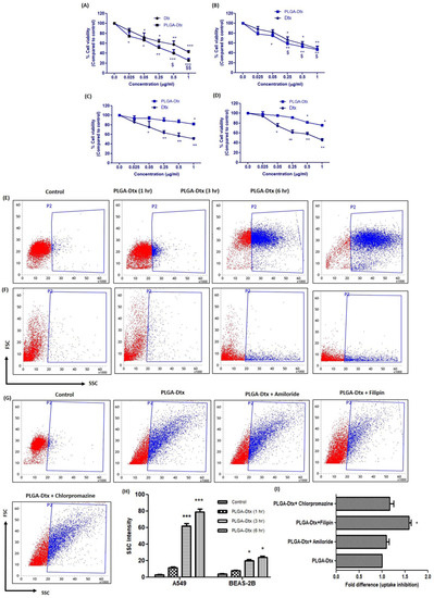 The Anti-Tumor and Immunomodulatory Effects of PLGA-Based Docetaxel ...