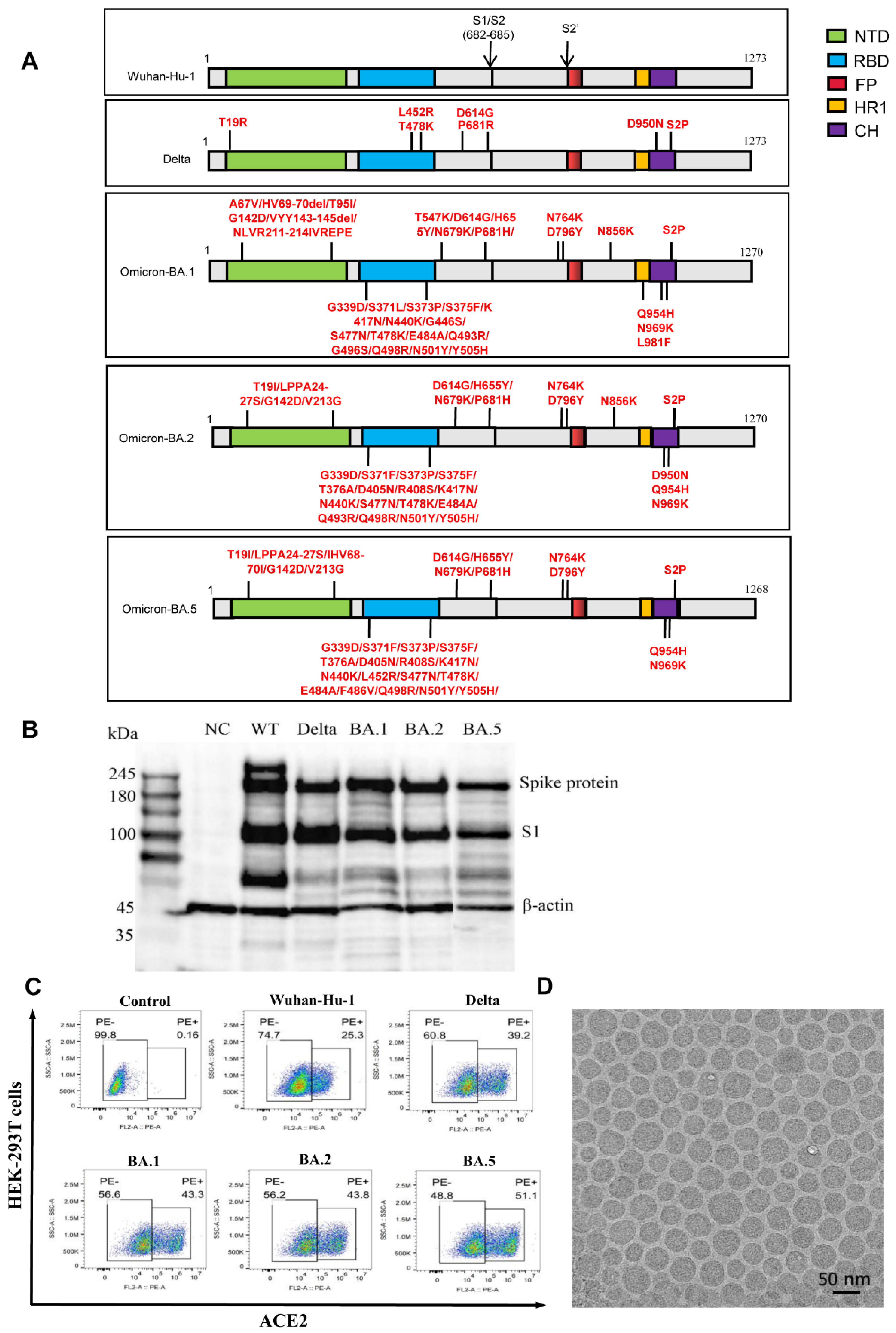 Vaccines 10 01807 g001 Vaccines 10 01807 g001