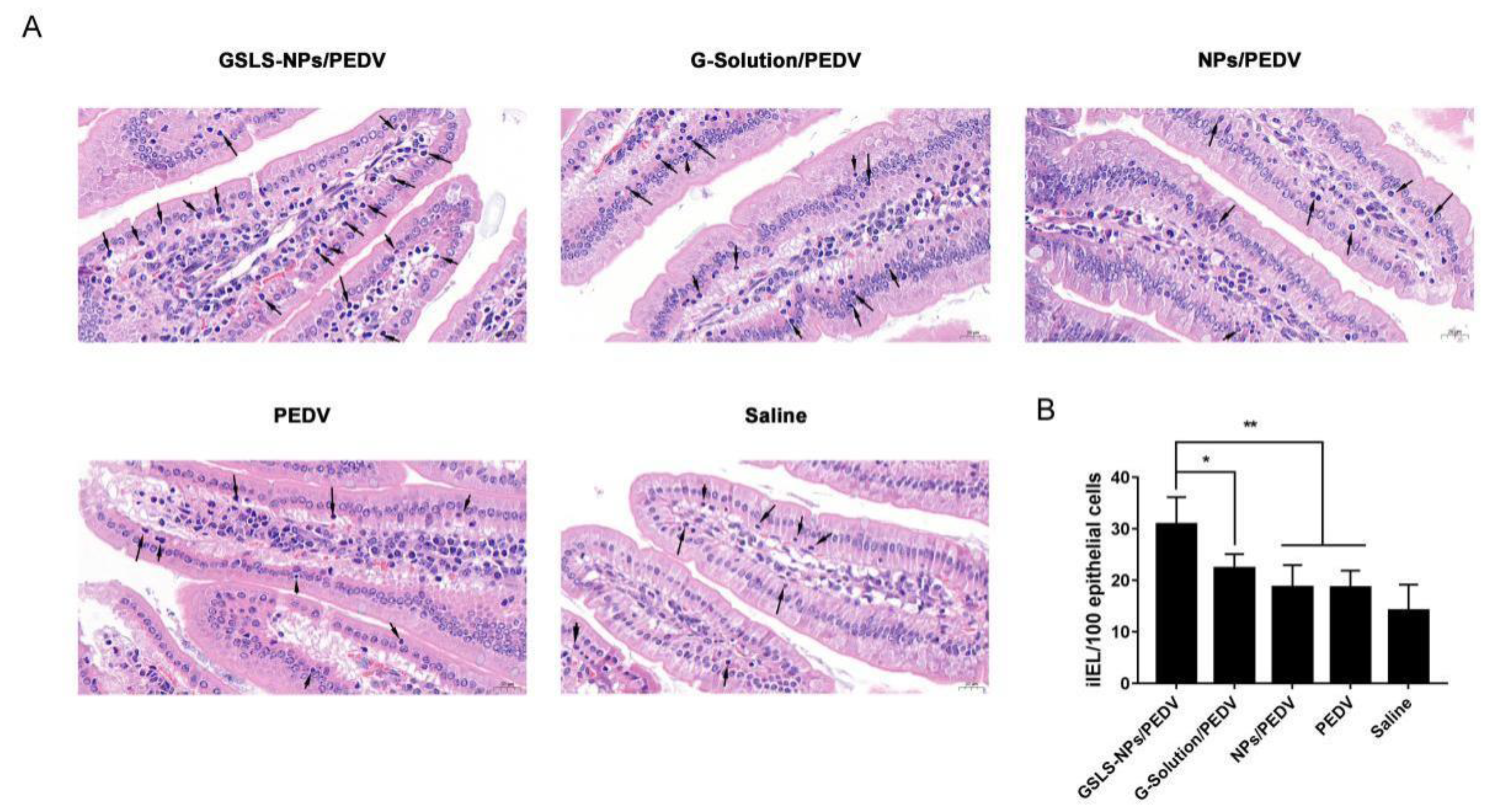 Vaccines 10 01810 g004