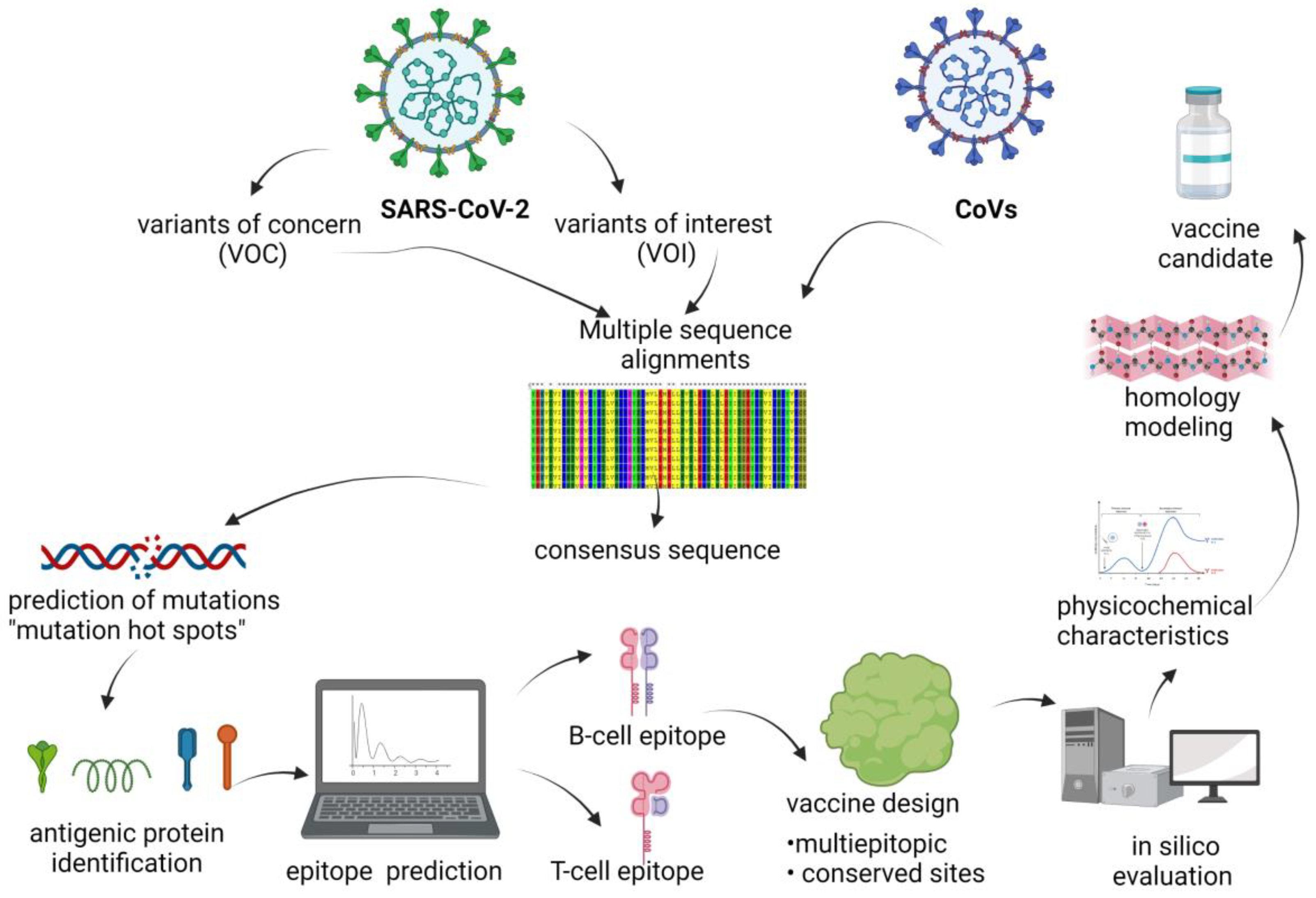 The Advantage of Using Immunoinformatic Tools on Vaccine Design 