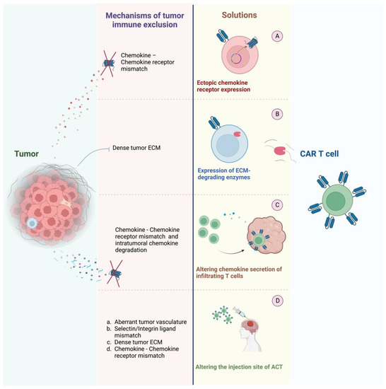 Migratory Engineering of T Cells for Cancer Therapy
