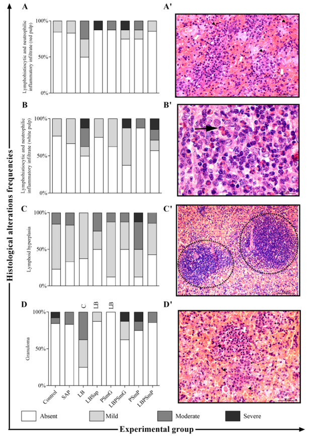 Vaccines 10 01848 g003a