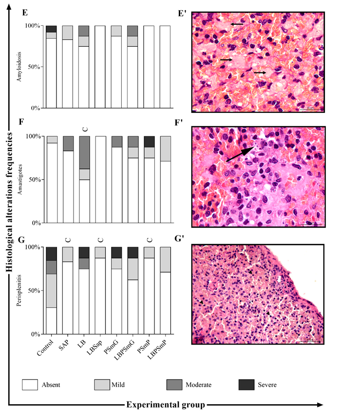 Vaccines 10 01848 g003b