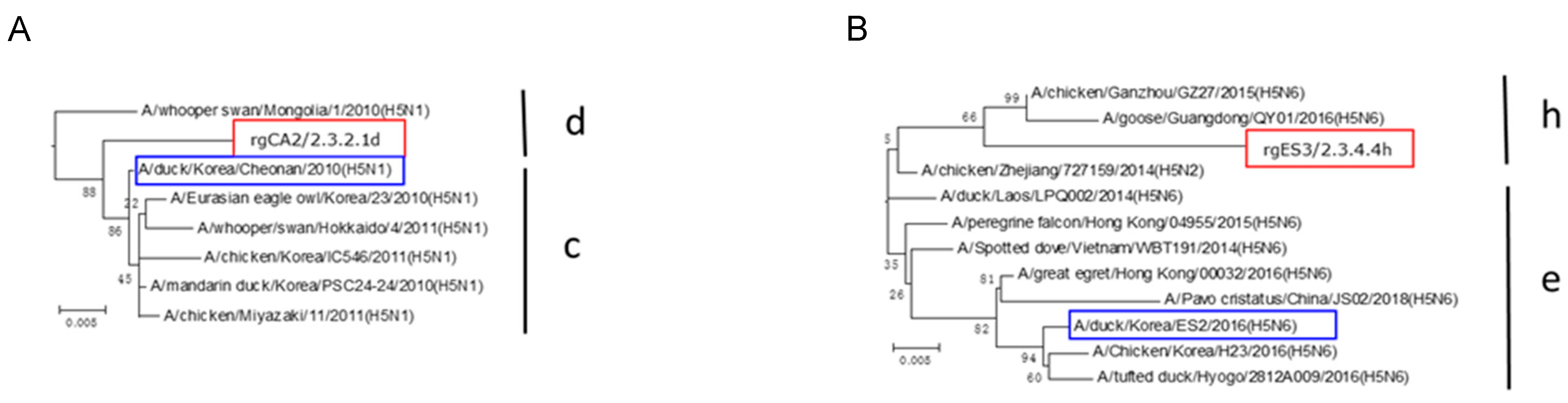 Vaccines 10 01860 g001 Vaccines 10 01860 g001