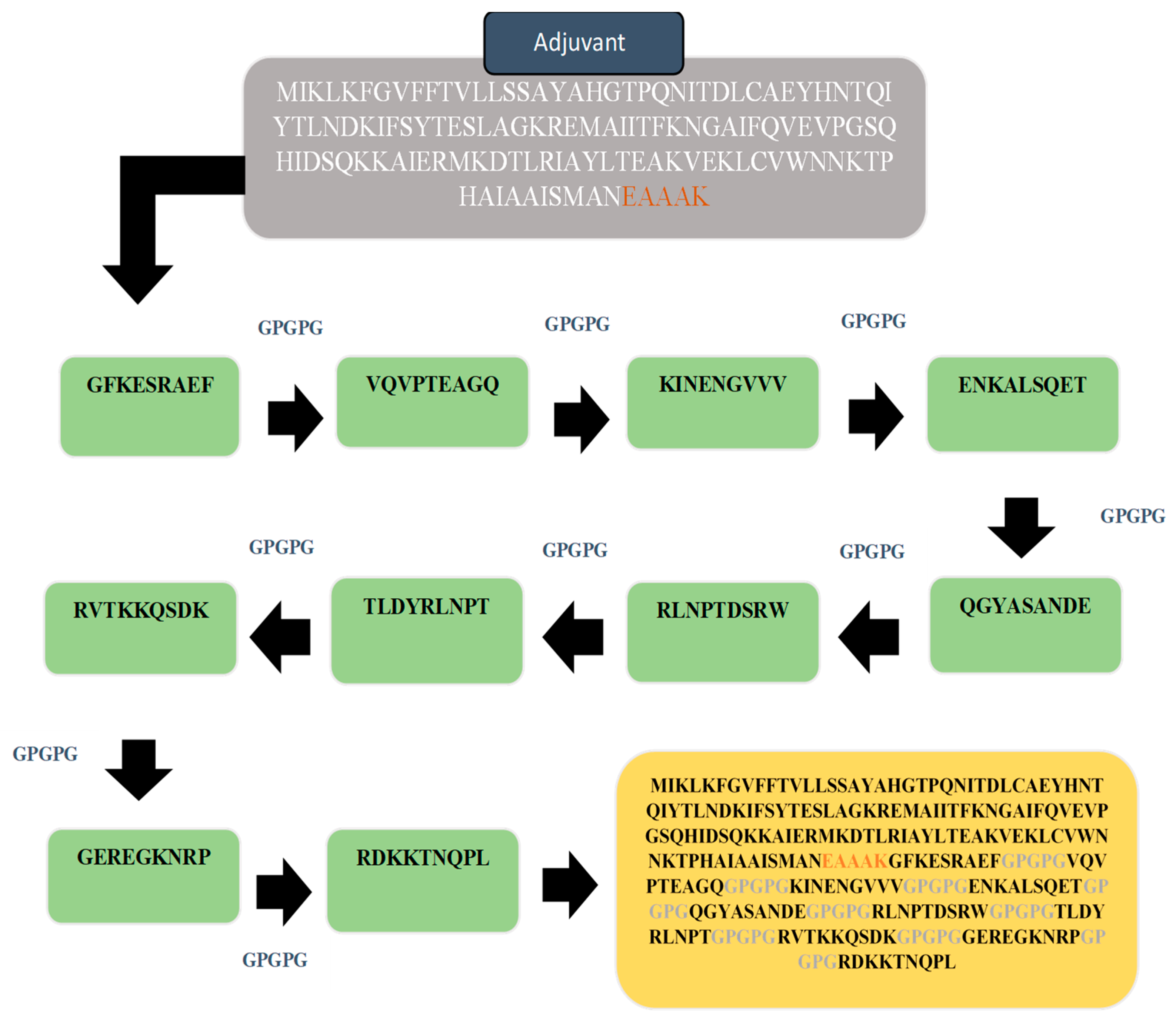Vaccines 10 01886 g004 Vaccines 10 01886 g004