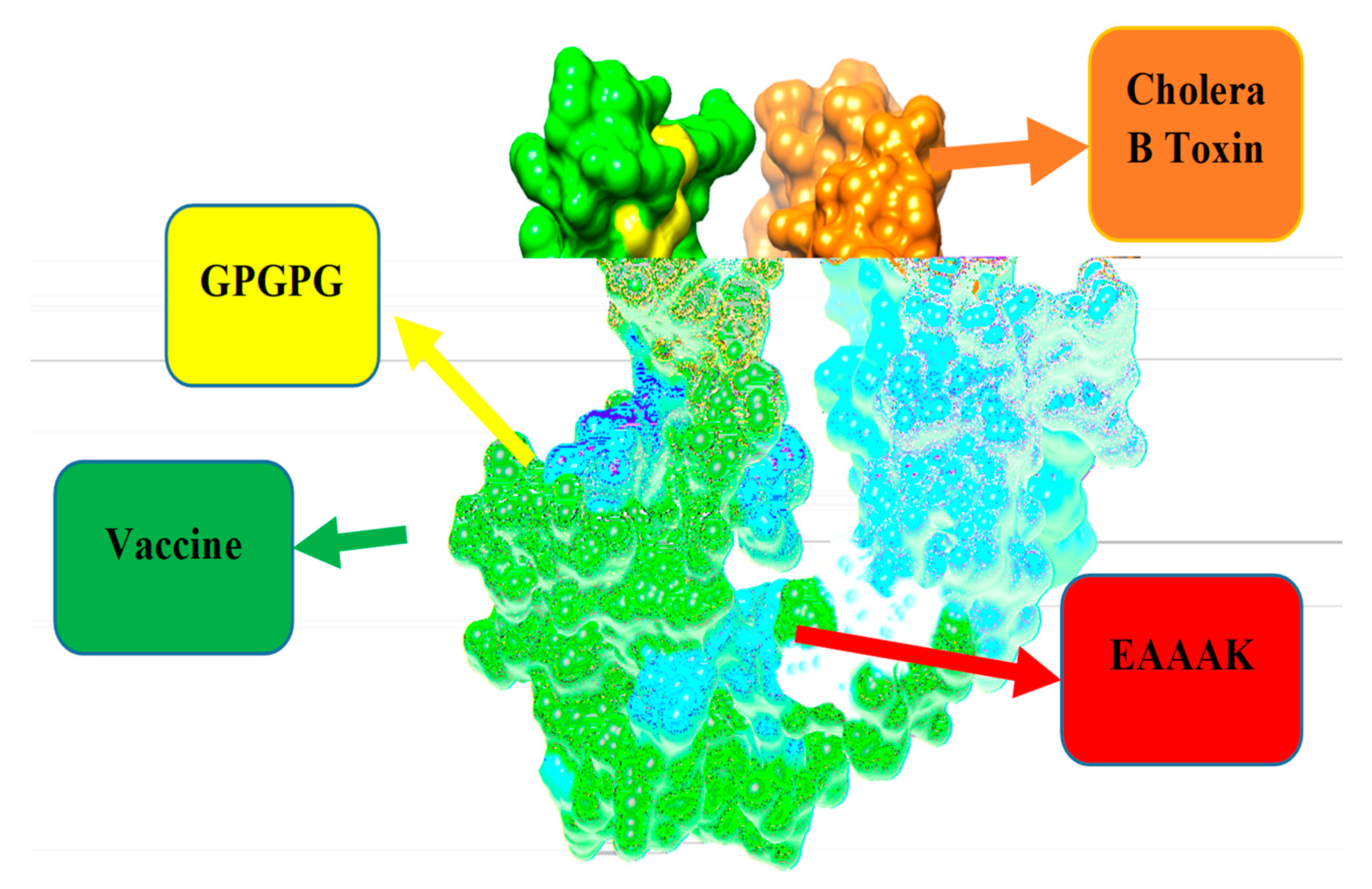 Vaccines 10 01886 g005 Vaccines 10 01886 g005