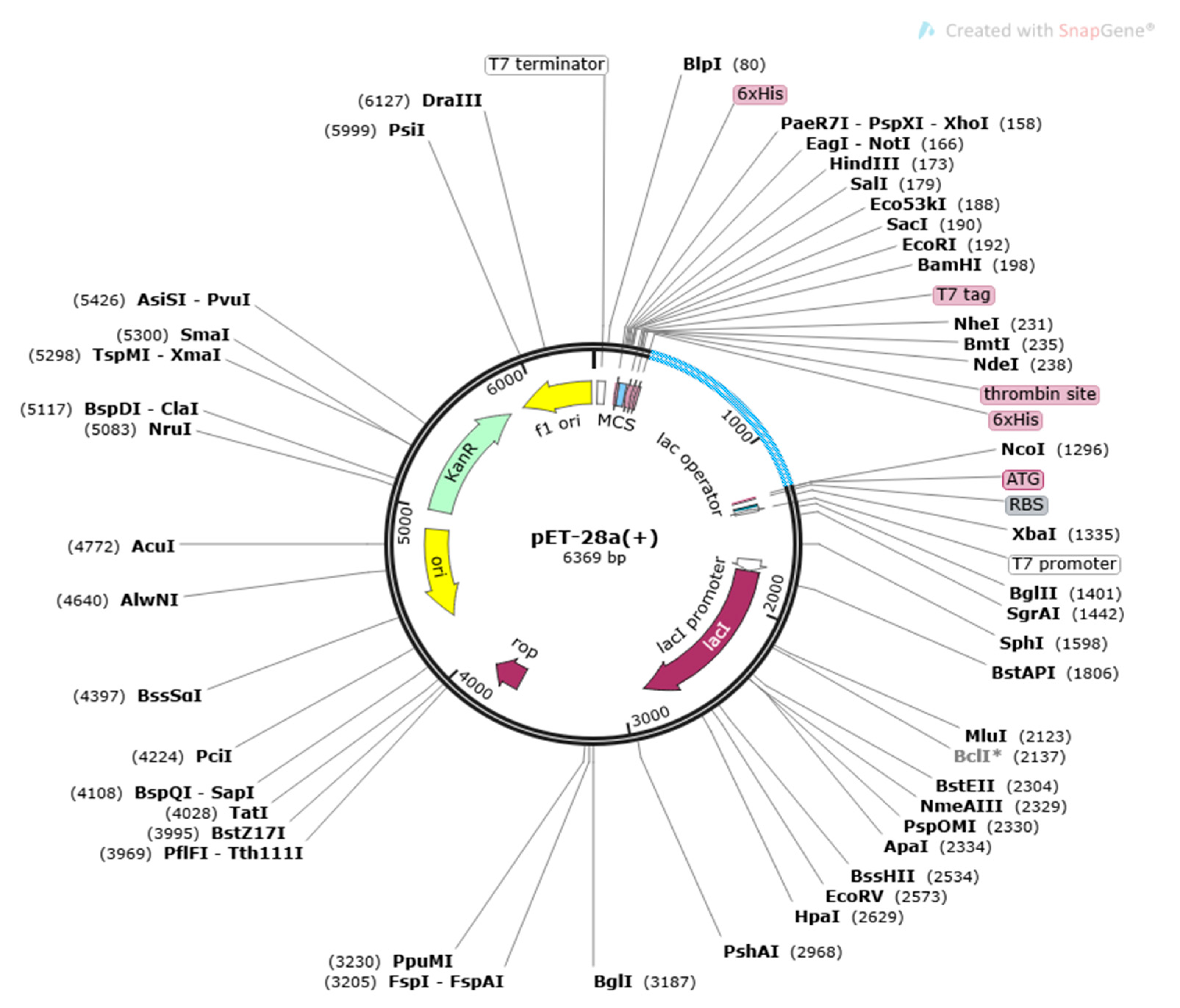 Vaccines 10 01886 g007 Vaccines 10 01886 g007