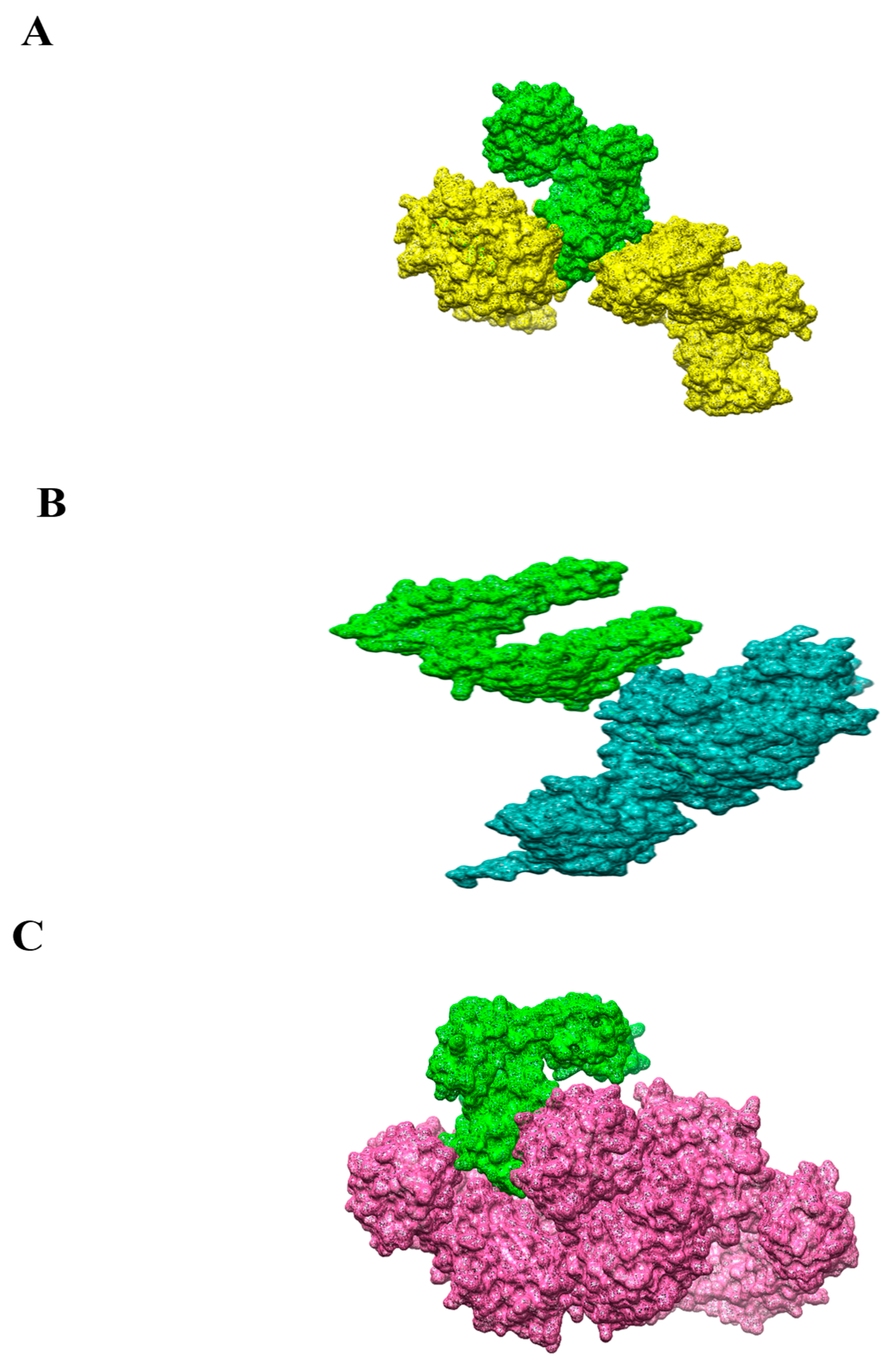 Vaccines 10 01886 g008 Vaccines 10 01886 g008