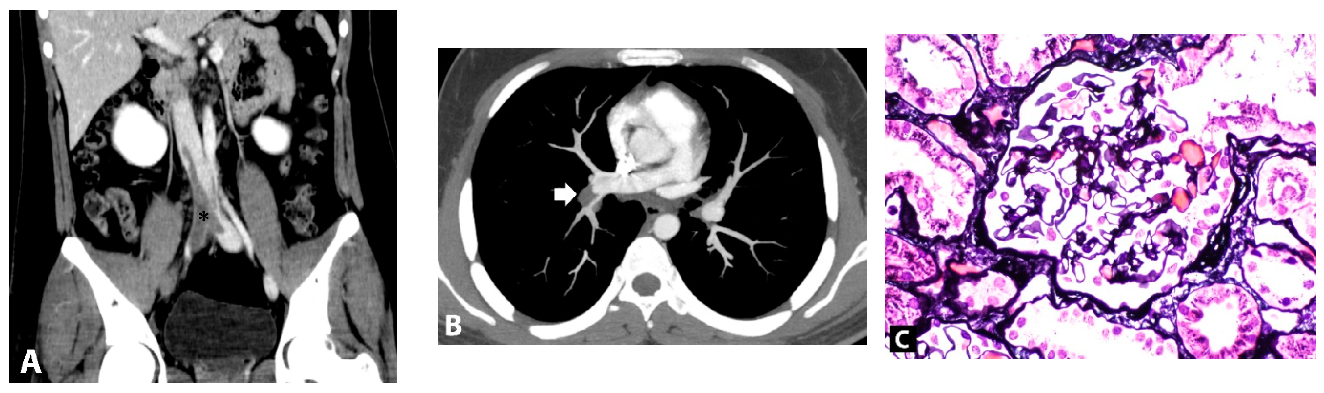 Vaccines 10 01888 g001