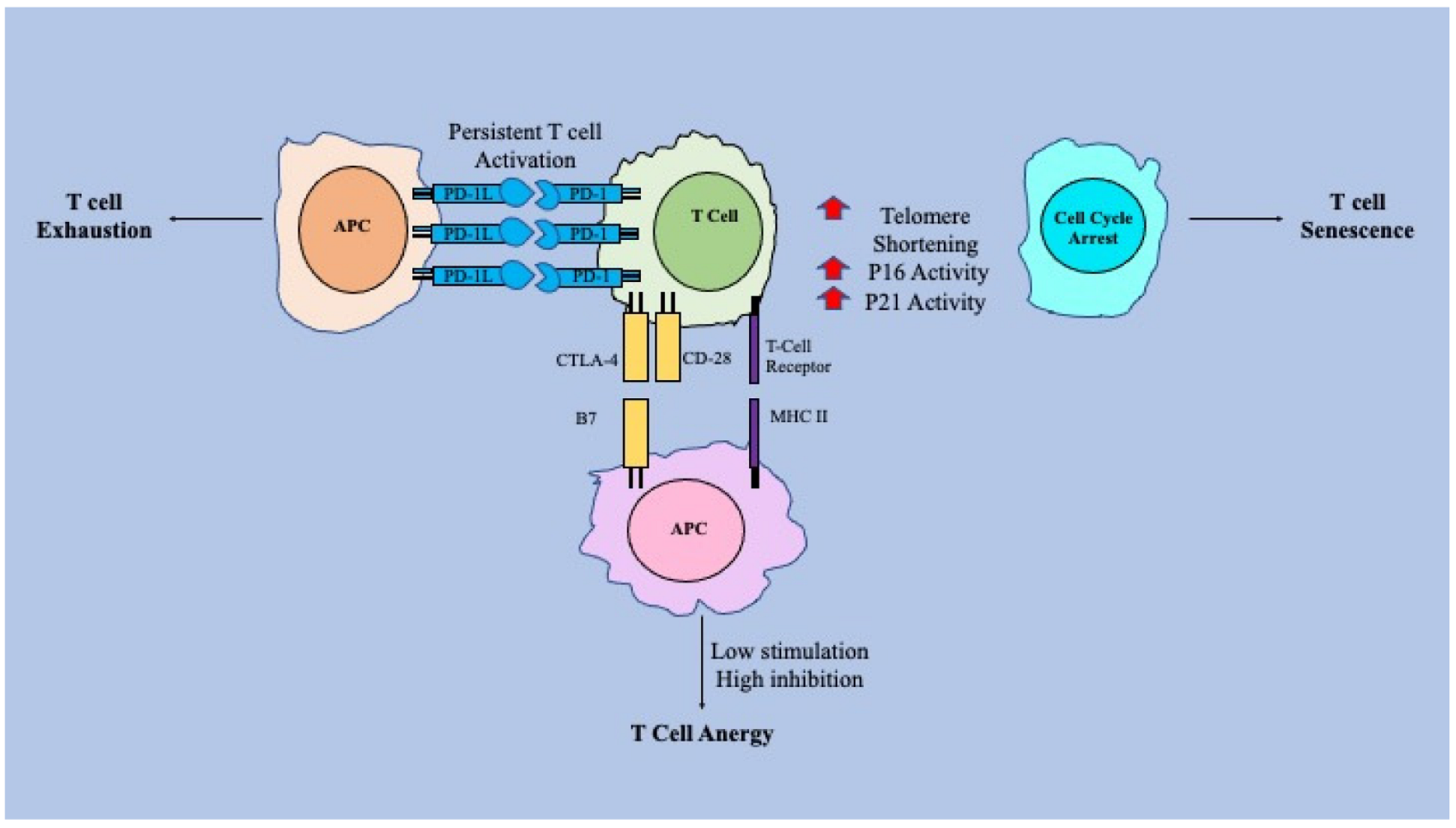 Vaccines 10 01892 g001 Vaccines 10 01892 g001