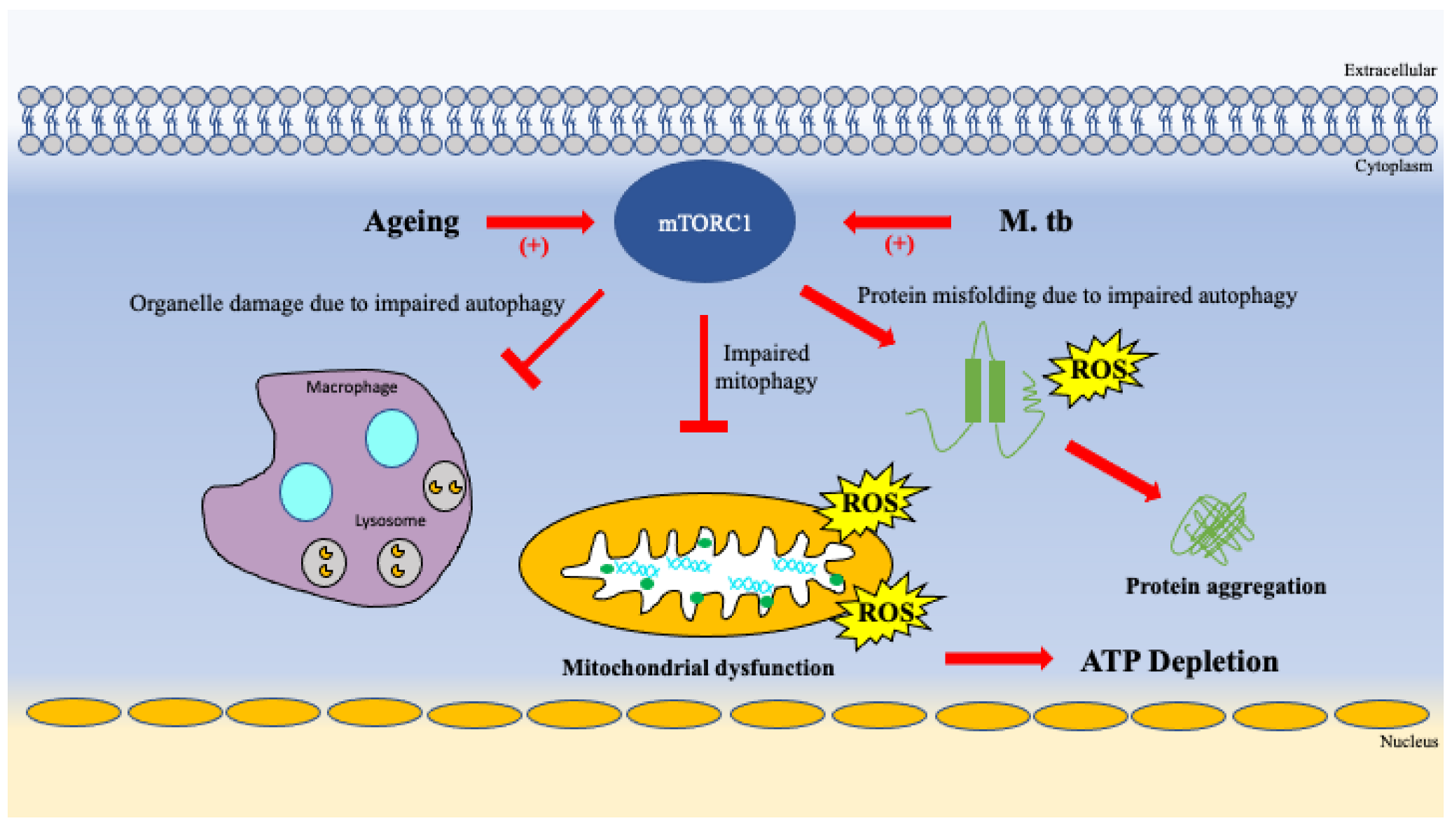 Vaccines 10 01892 g005 Vaccines 10 01892 g005