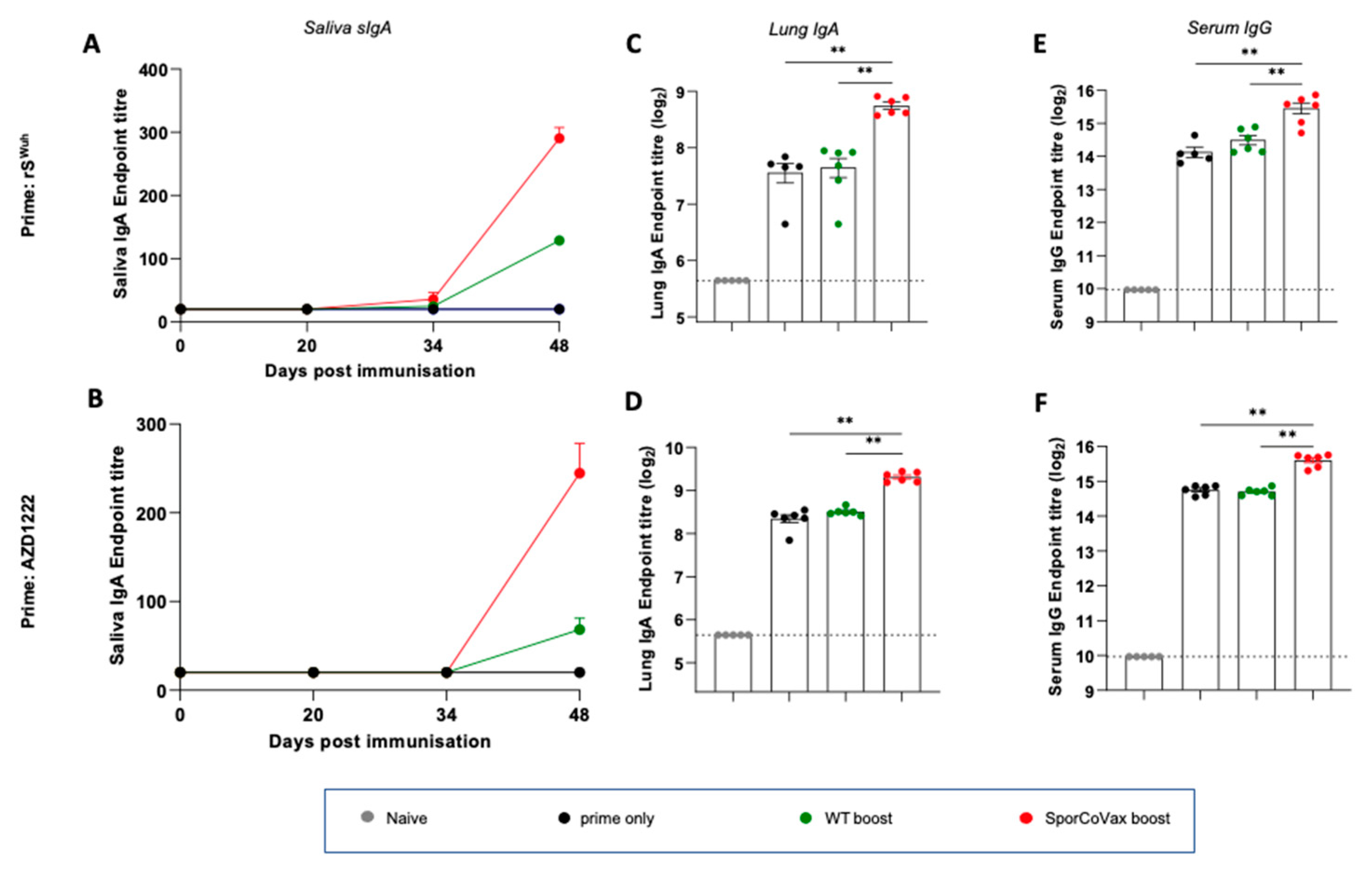 Vaccines 10 01900 g002