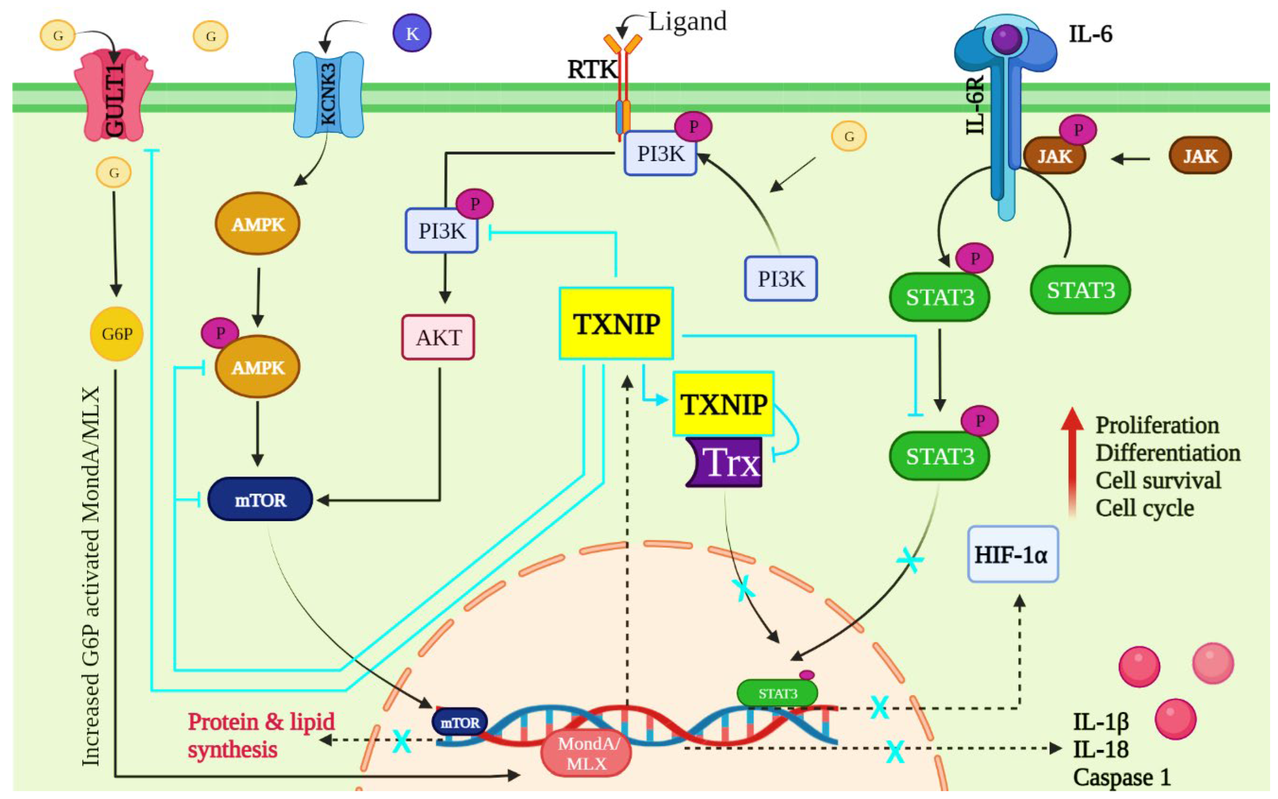 Vaccines 10 01902 g003