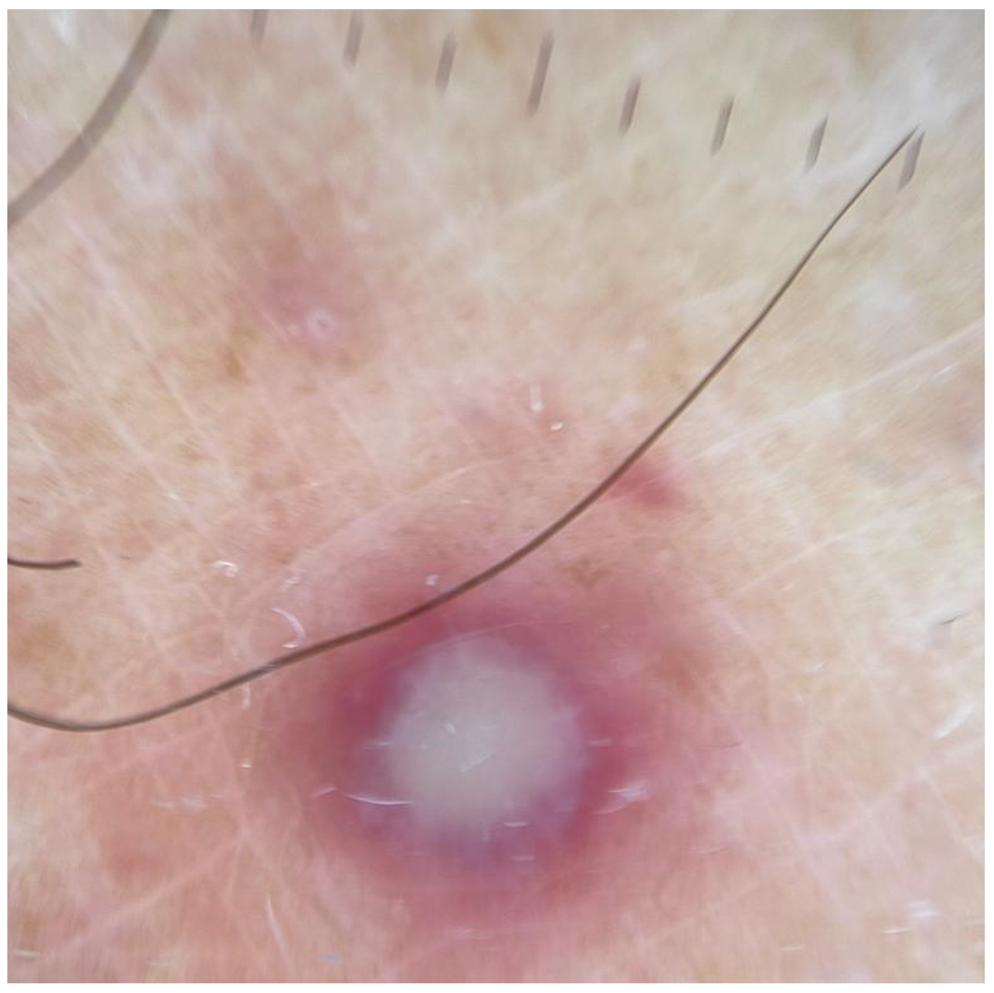 Vaccines 10 01903 g002