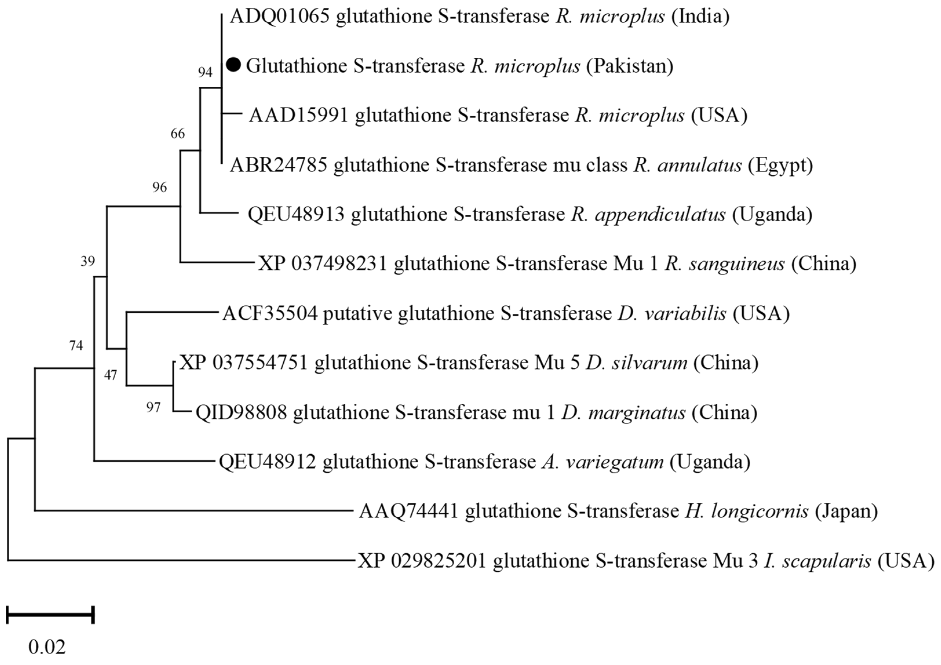 Vaccines 10 01909 g005 Vaccines 10 01909 g005