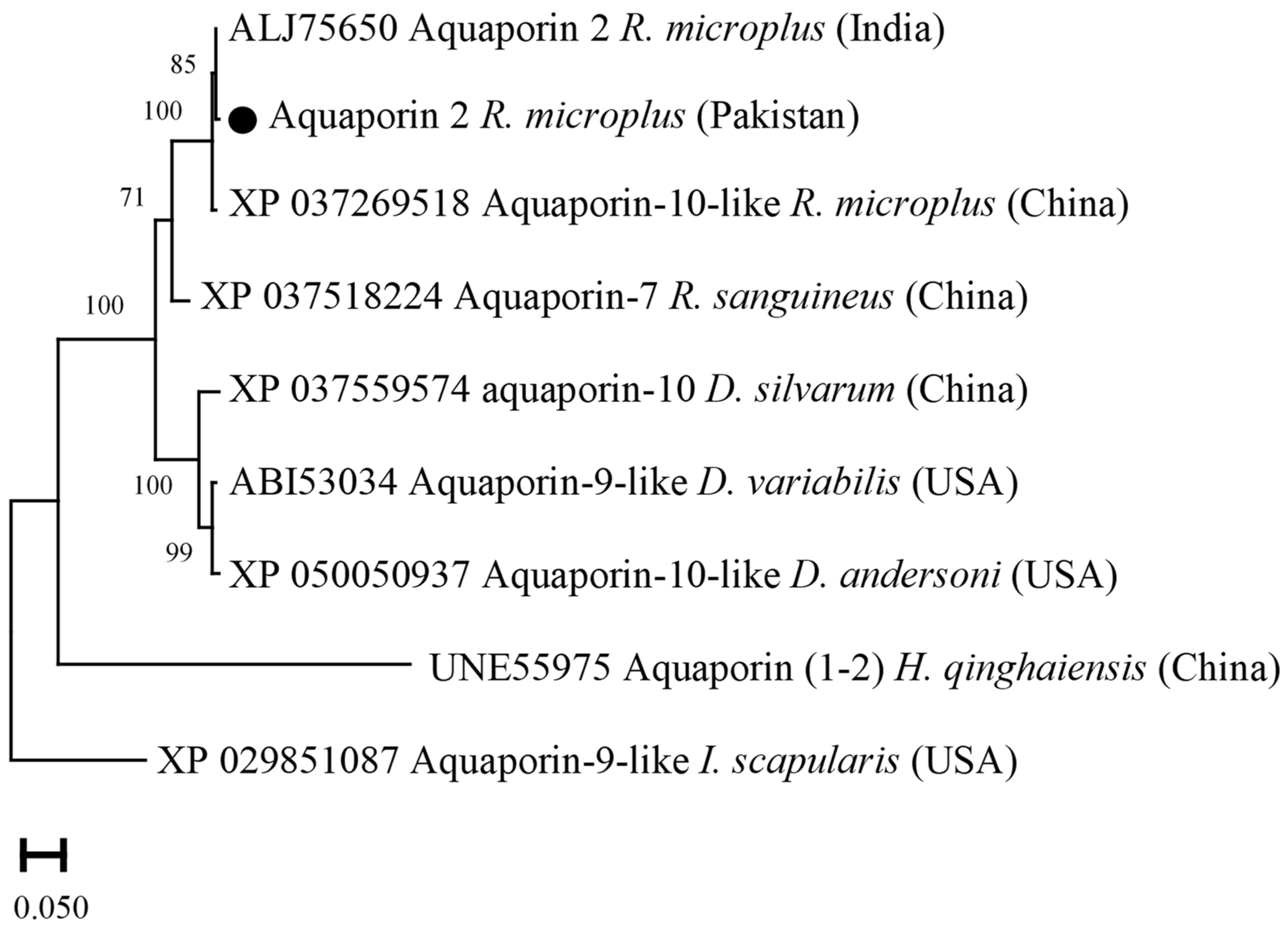 Vaccines 10 01909 g008 Vaccines 10 01909 g008