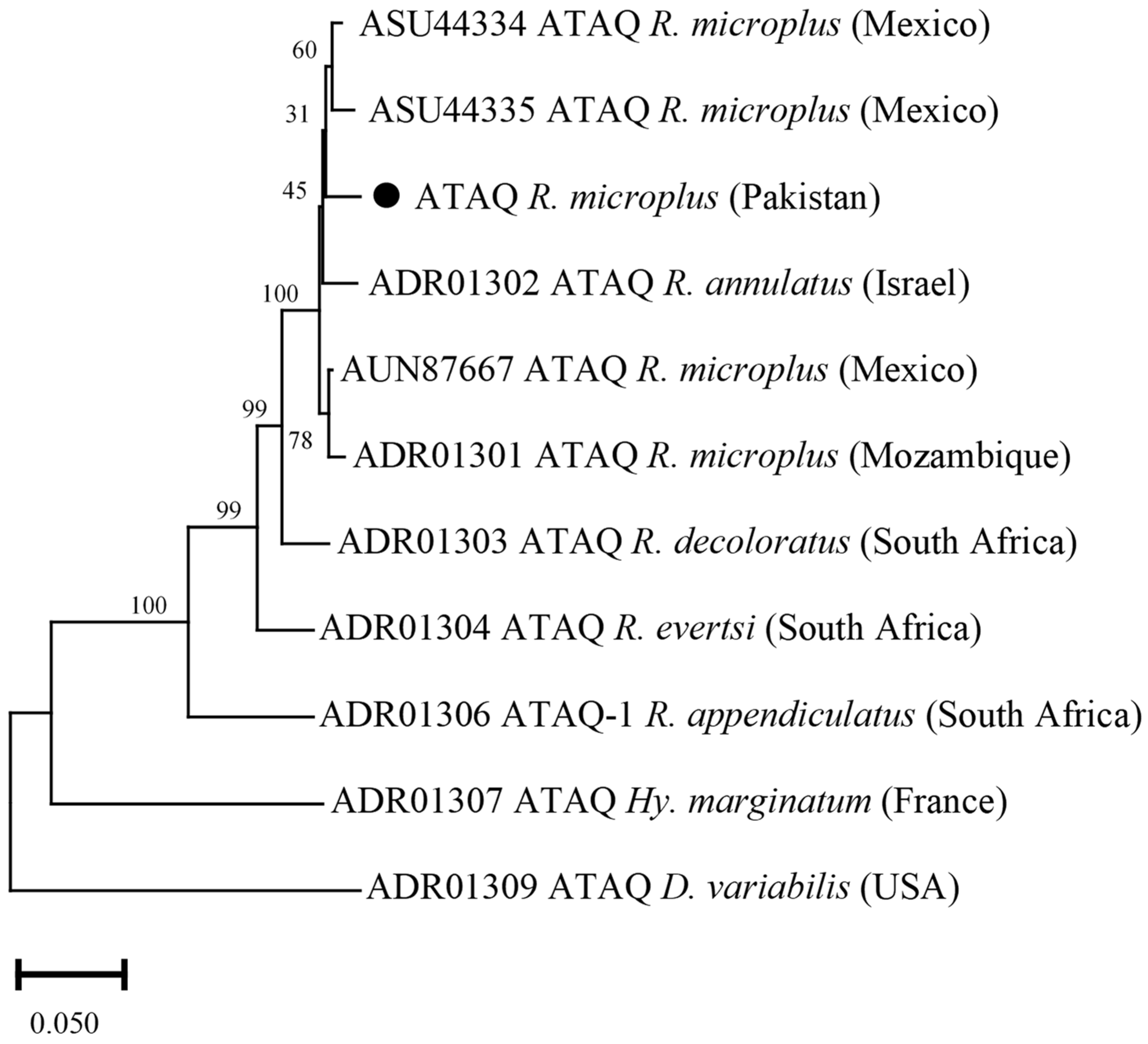 Vaccines 10 01909 g009 Vaccines 10 01909 g009