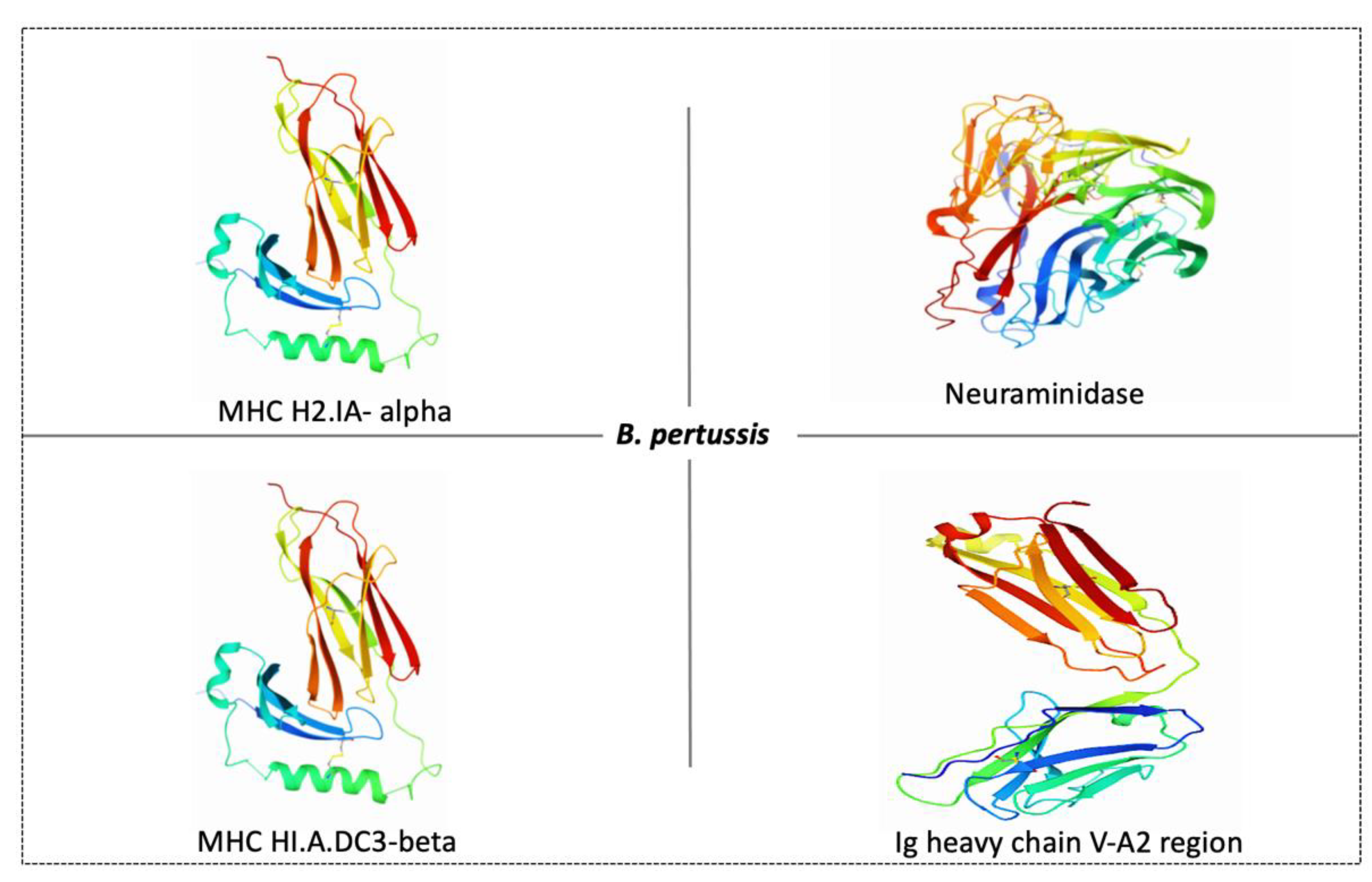 Vaccines 10 01915 g004 Vaccines 10 01915 g004