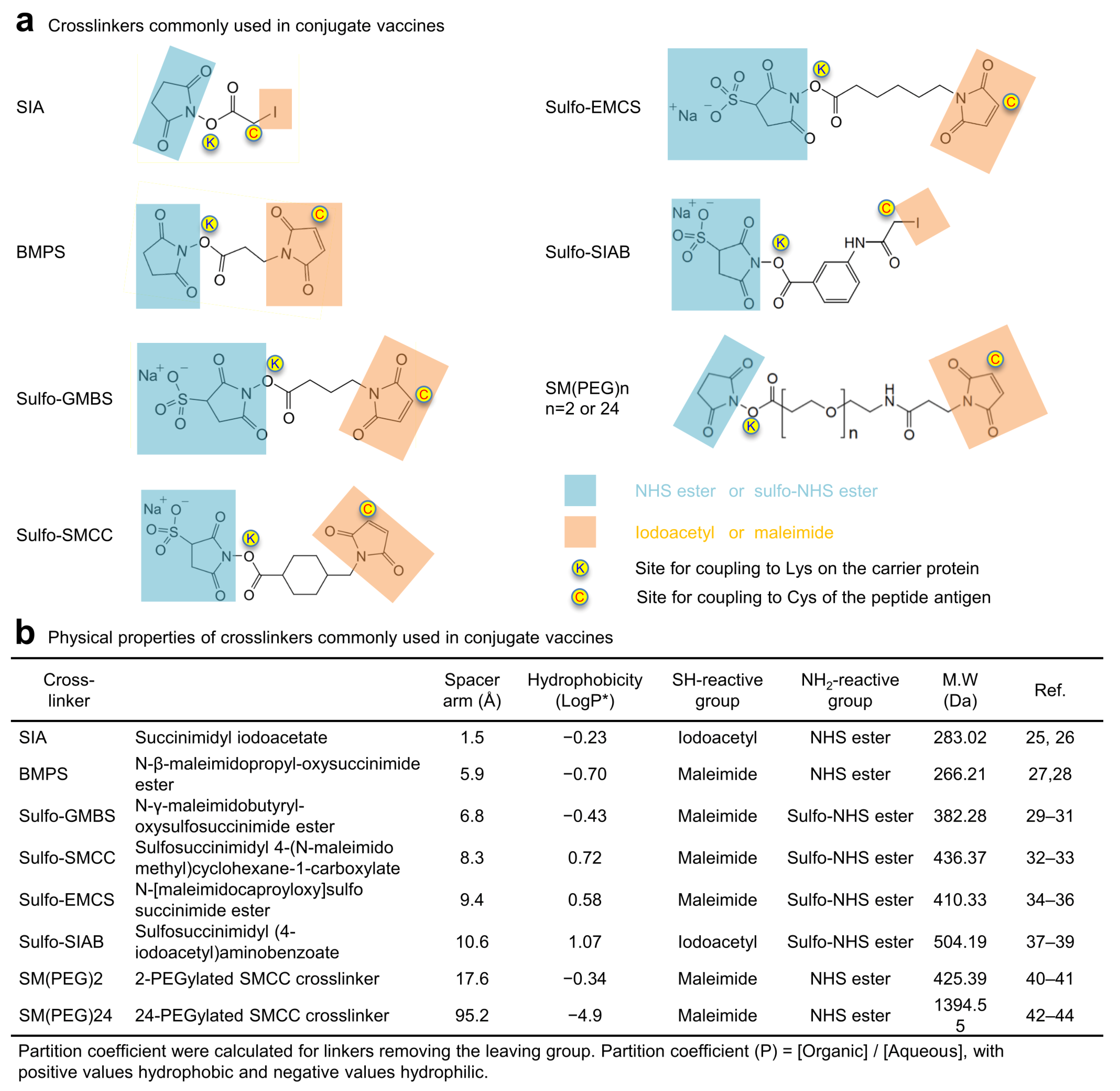 Vaccines 10 01916 g001 Vaccines 10 01916 g001