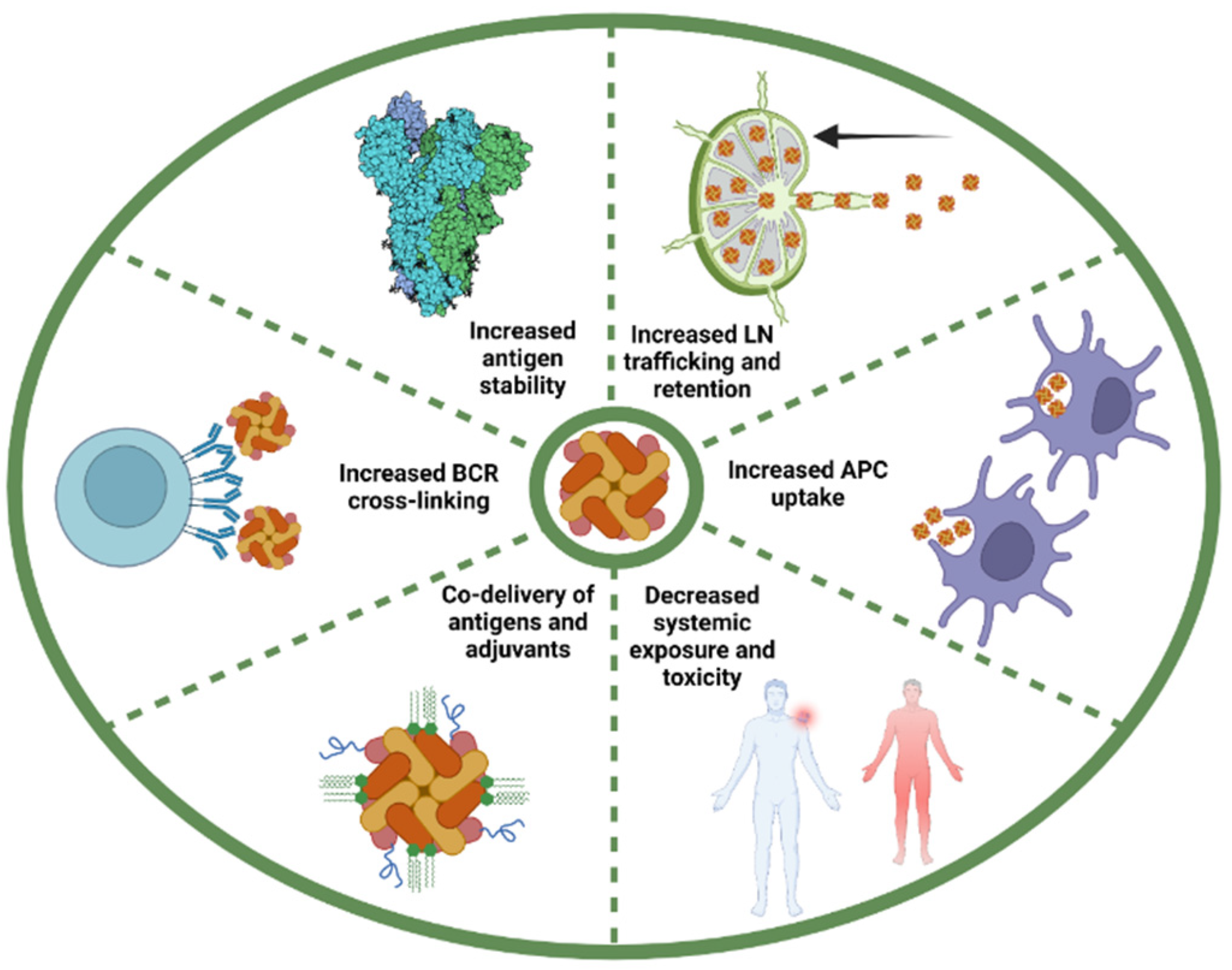 Vaccines Free Full Text Vaccination Strategies Based On Bacterial vaccines-free-full-text-vaccination-strategies-based-on-bacterial