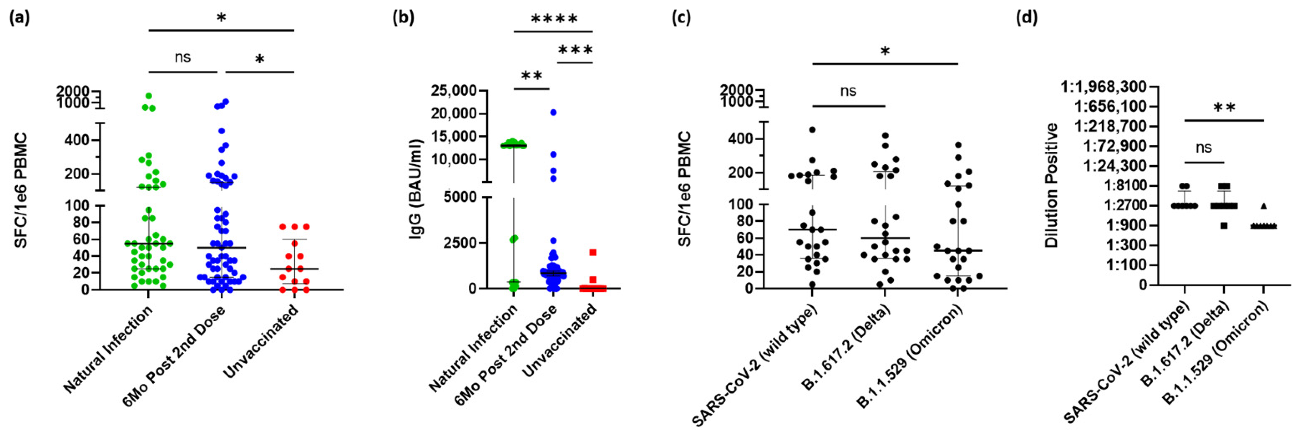 Vaccines 10 01931 g001