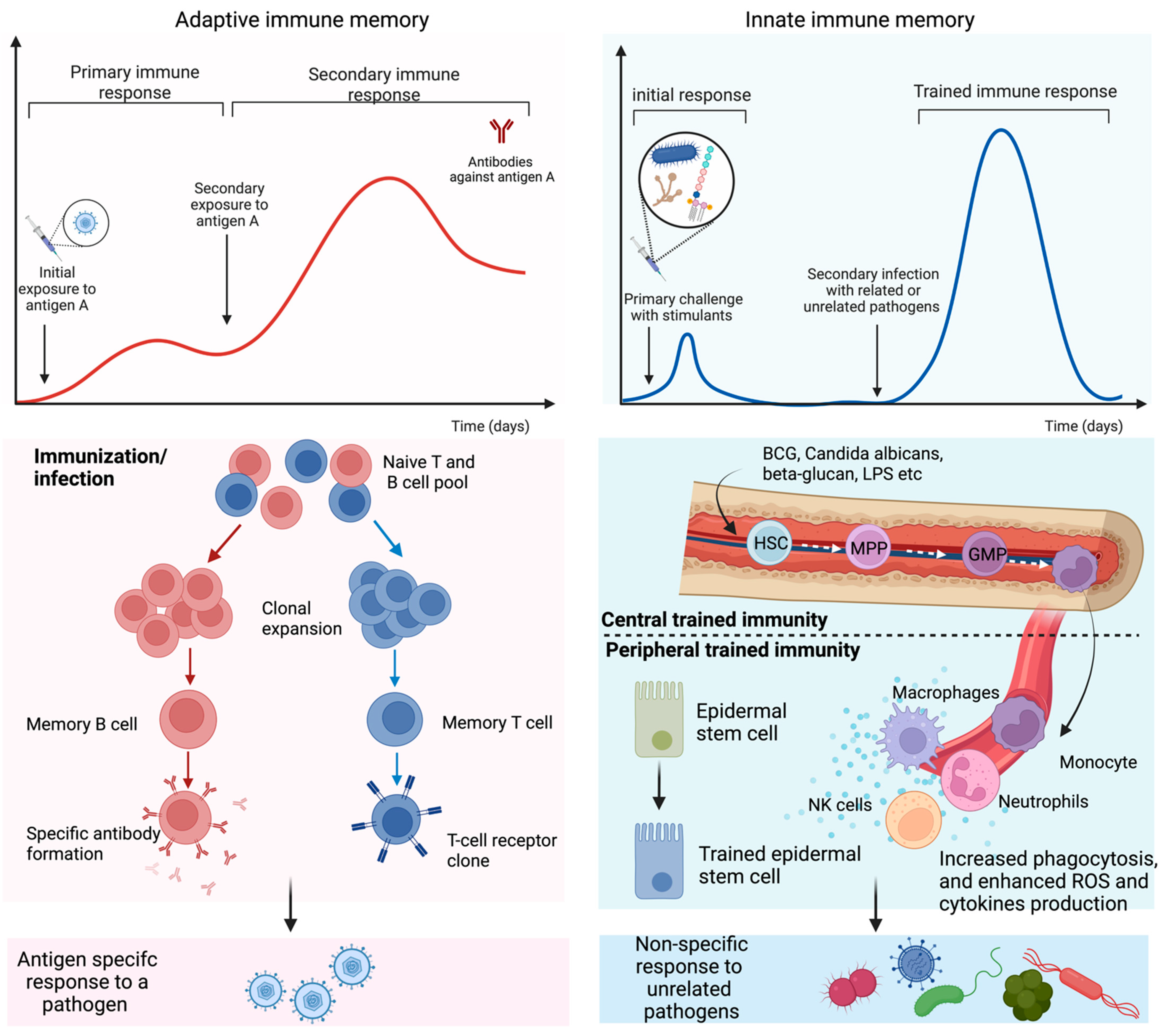 Vaccines 10 01932 g001 Vaccines 10 01932 g001