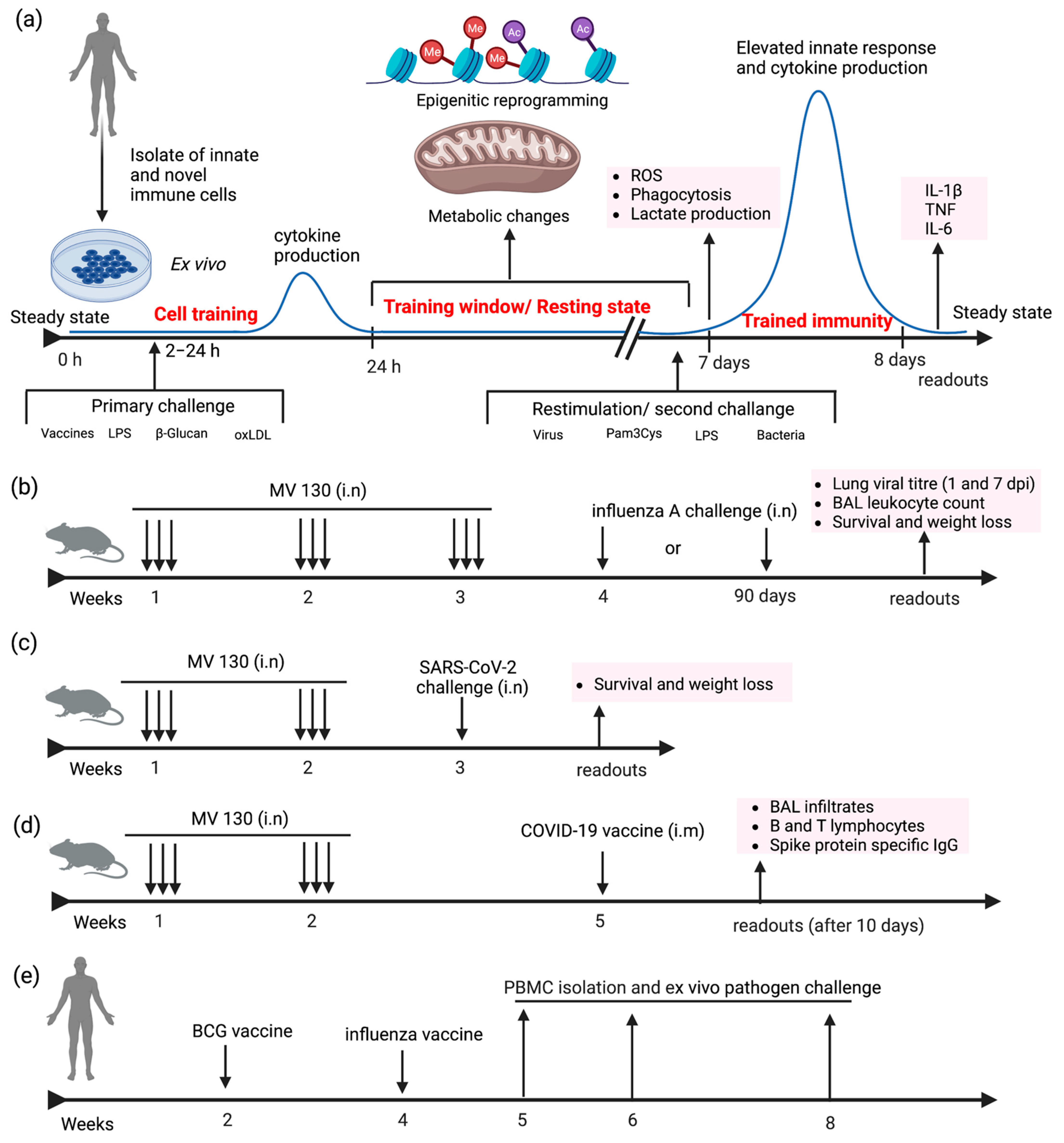 Vaccines 10 01932 g002 Vaccines 10 01932 g002