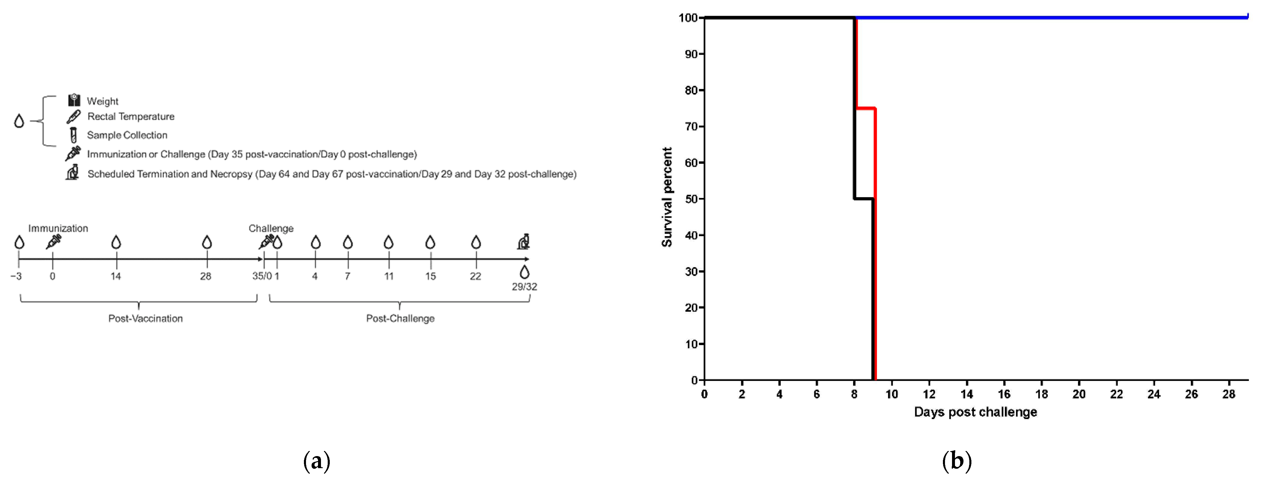 Vaccines 10 01935 g001a