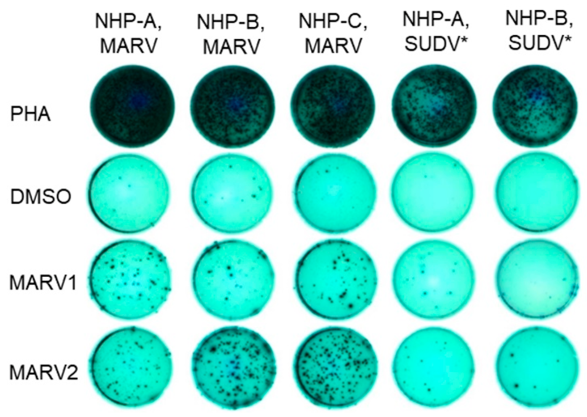 Vaccines 10 01935 g005