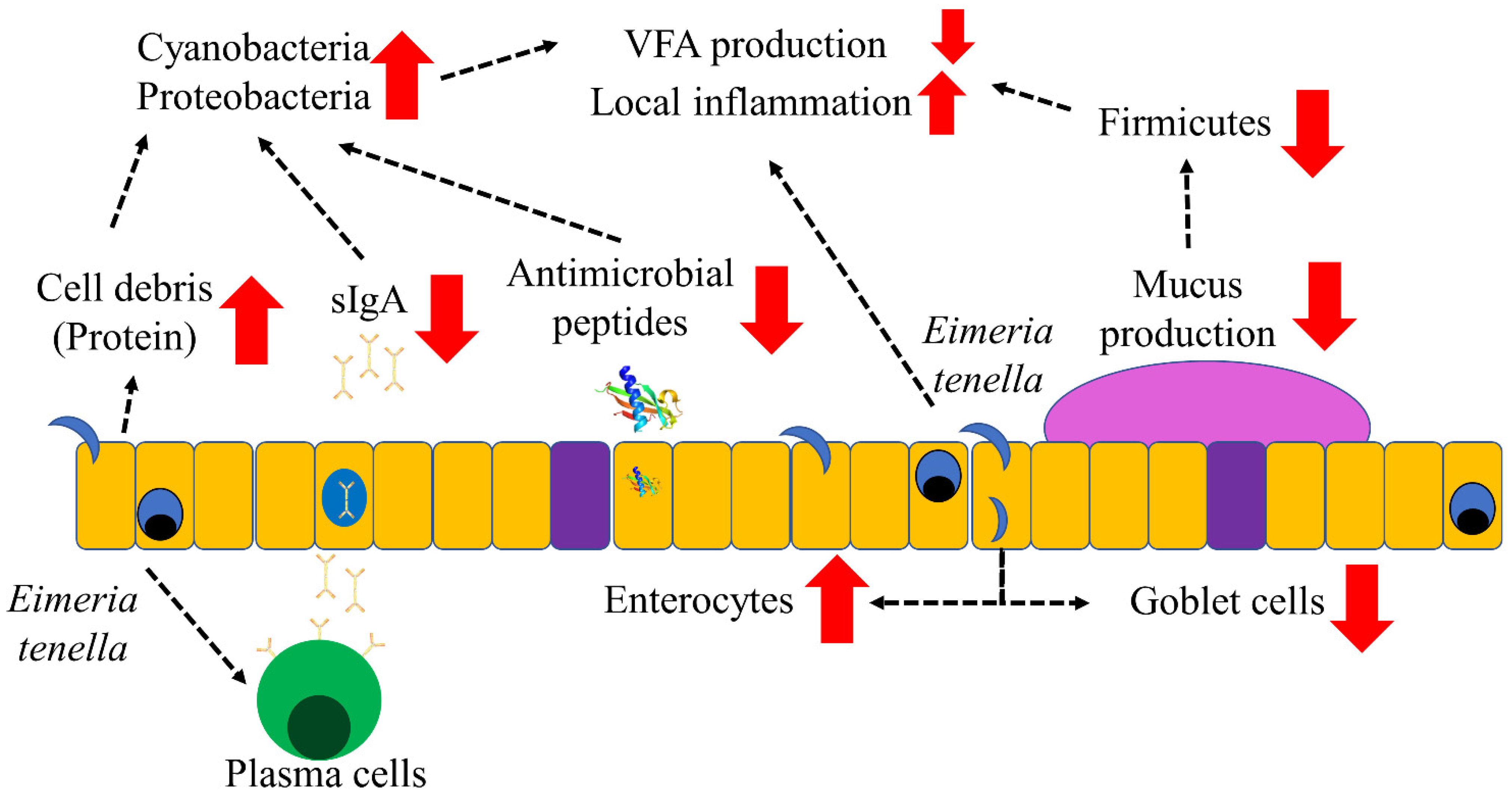 Vaccines 10 01941 g013