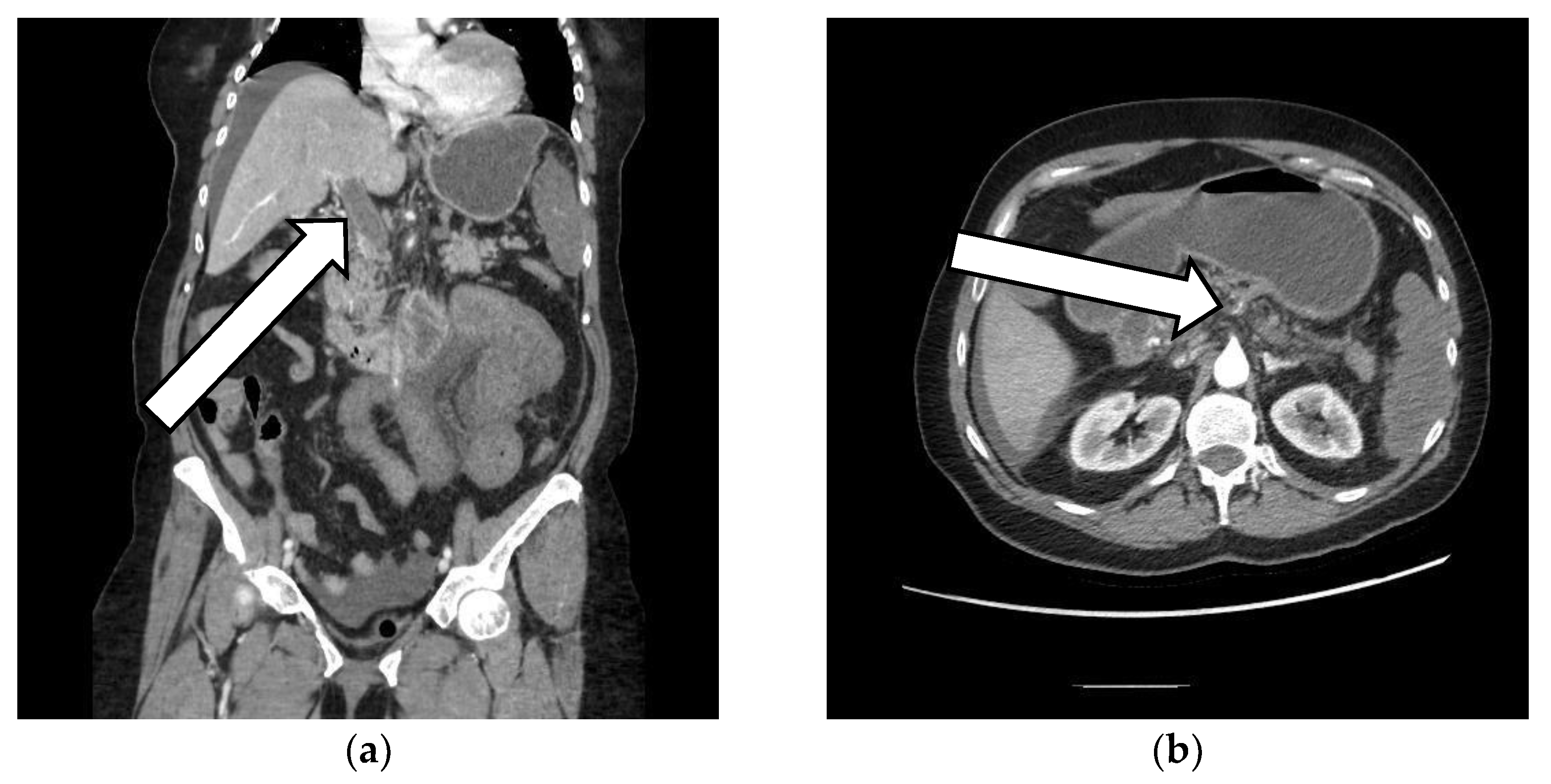 Vaccines 10 01950 g003 Vaccines 10 01950 g003