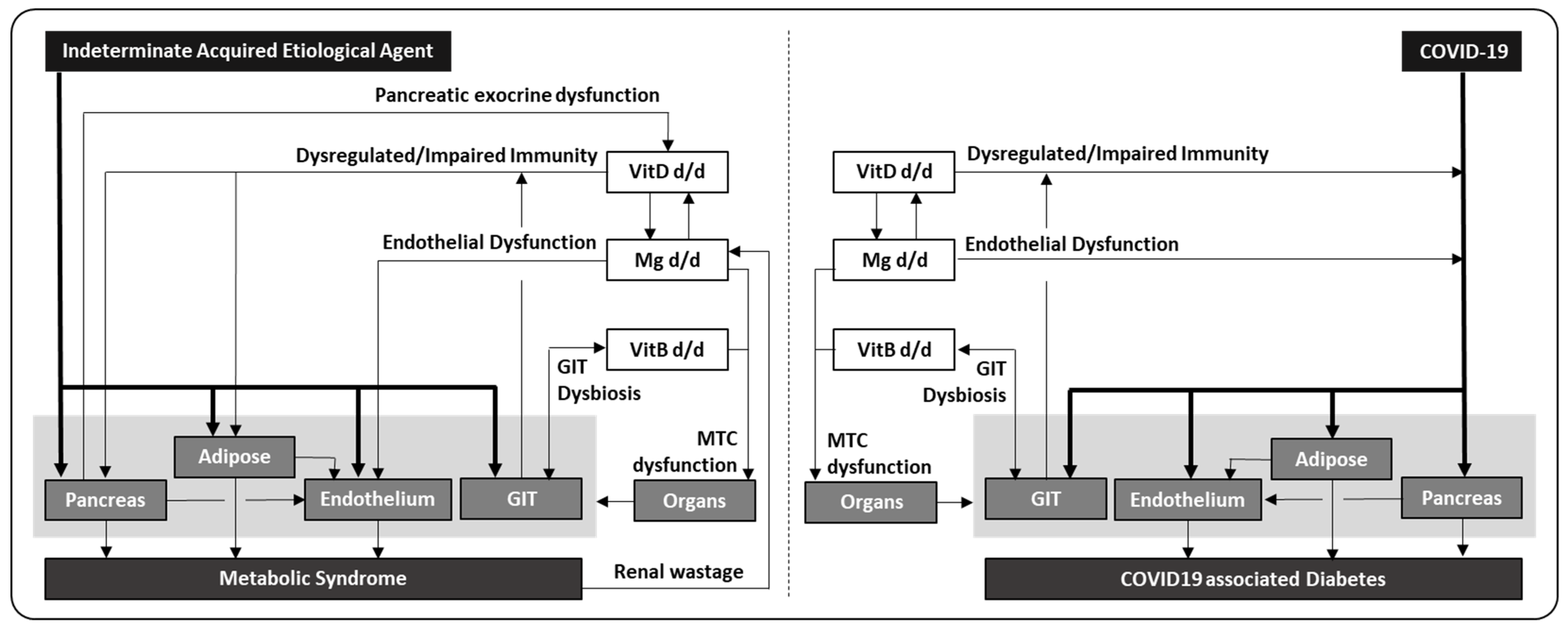 Vaccines 10 01966 g001 Vaccines 10 01966 g001