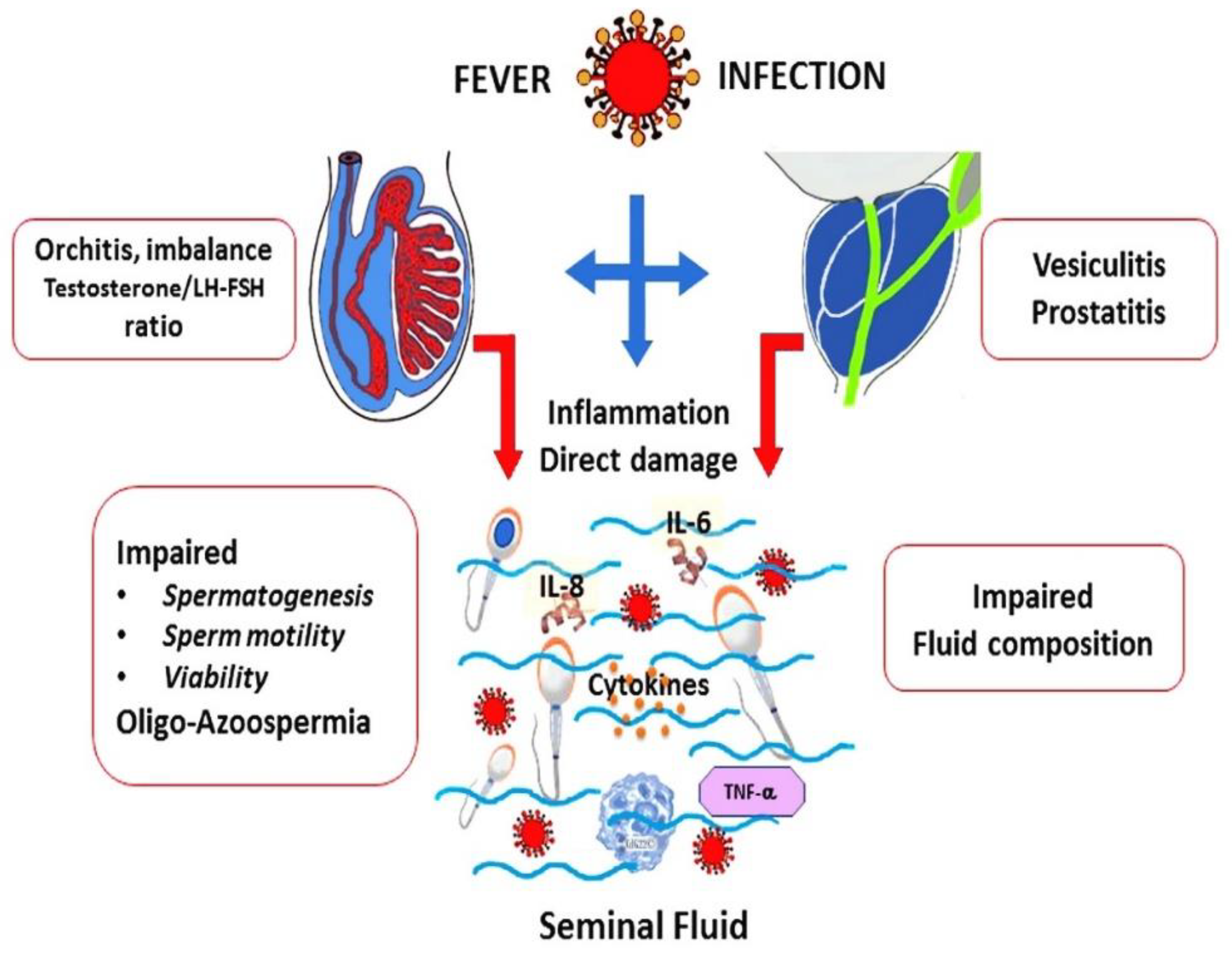 Vaccines 10 01982 g001