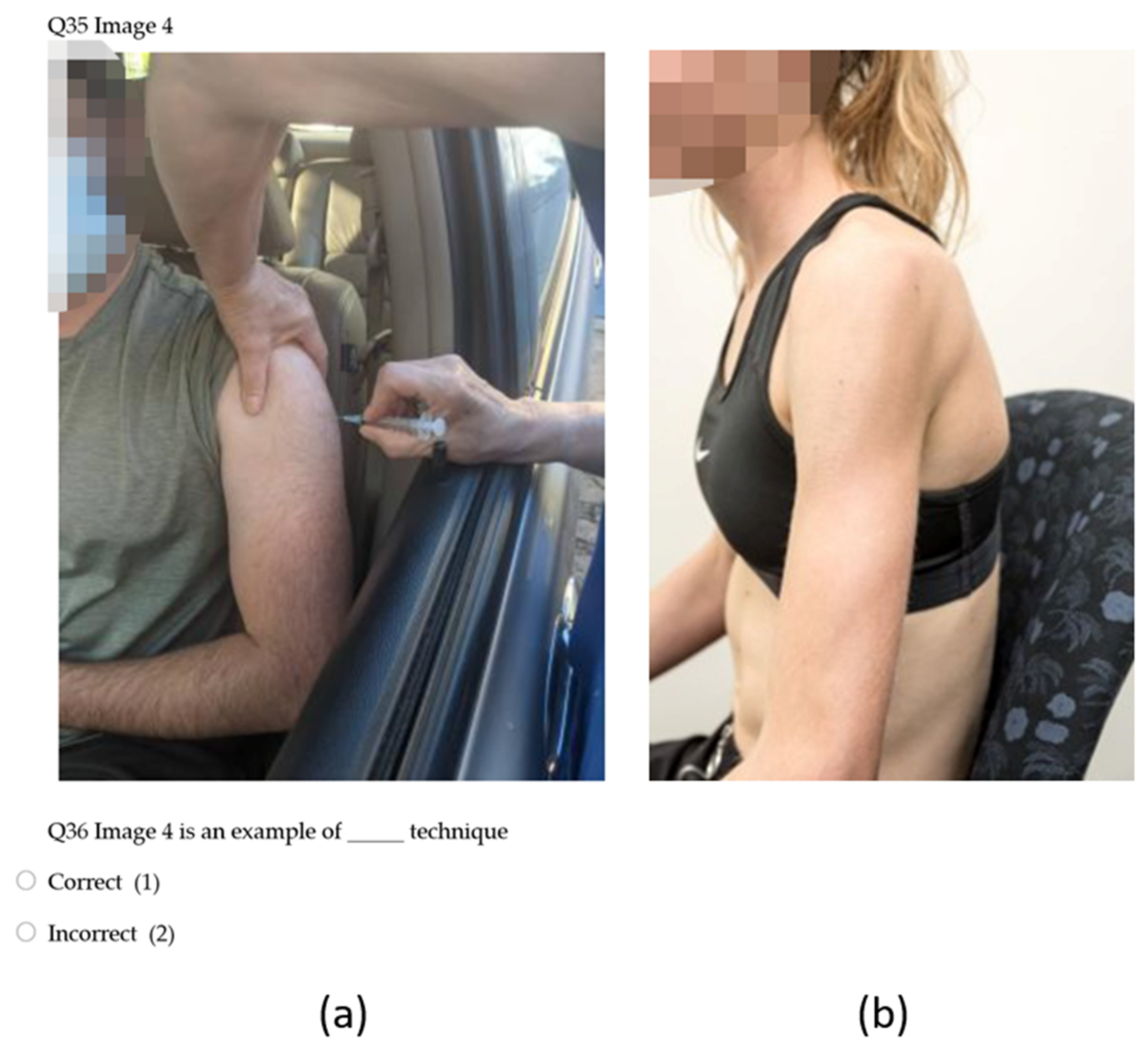 Vaccines 10 01991 g001