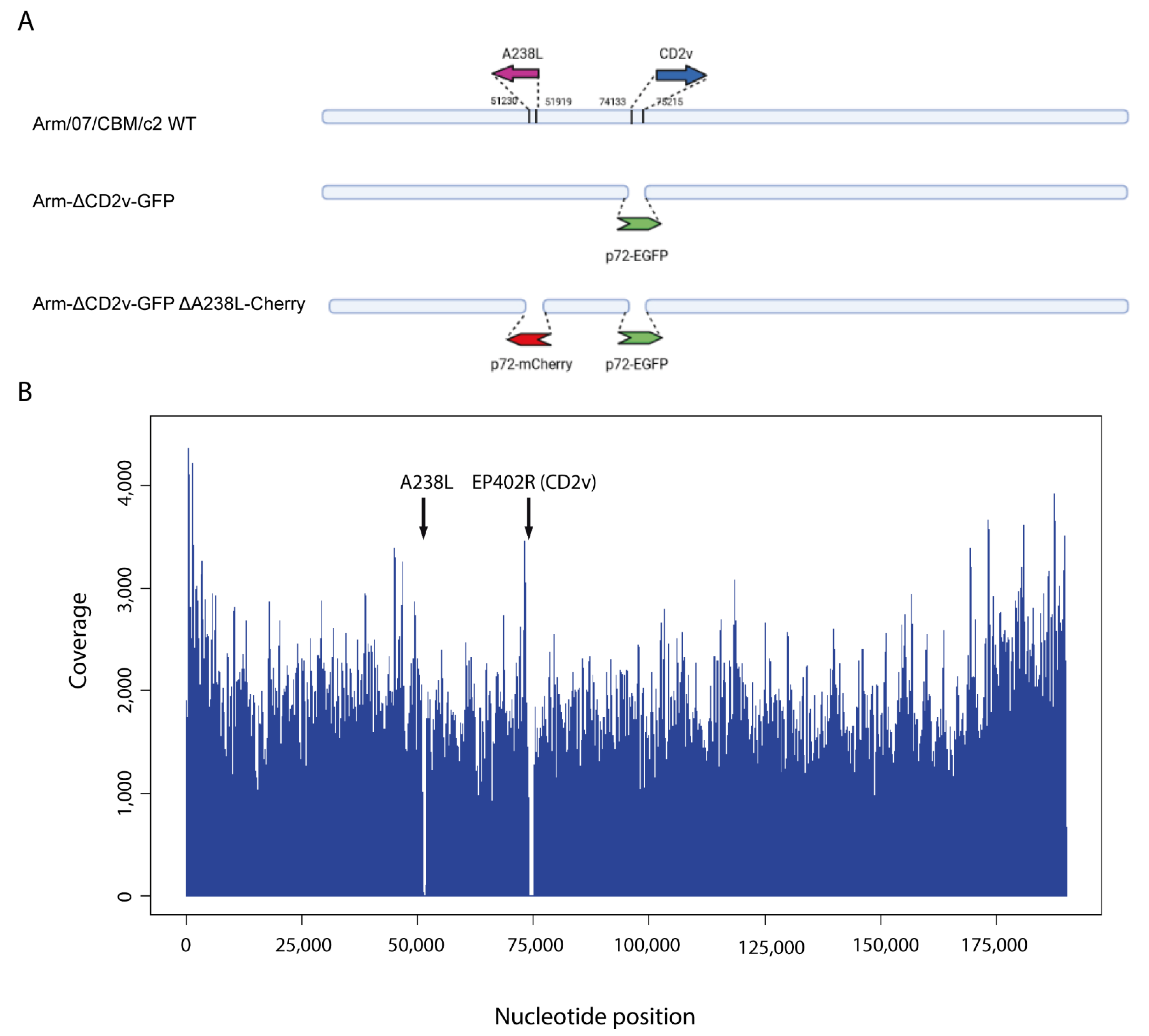 Vaccines 10 01992 g001 Vaccines 10 01992 g001