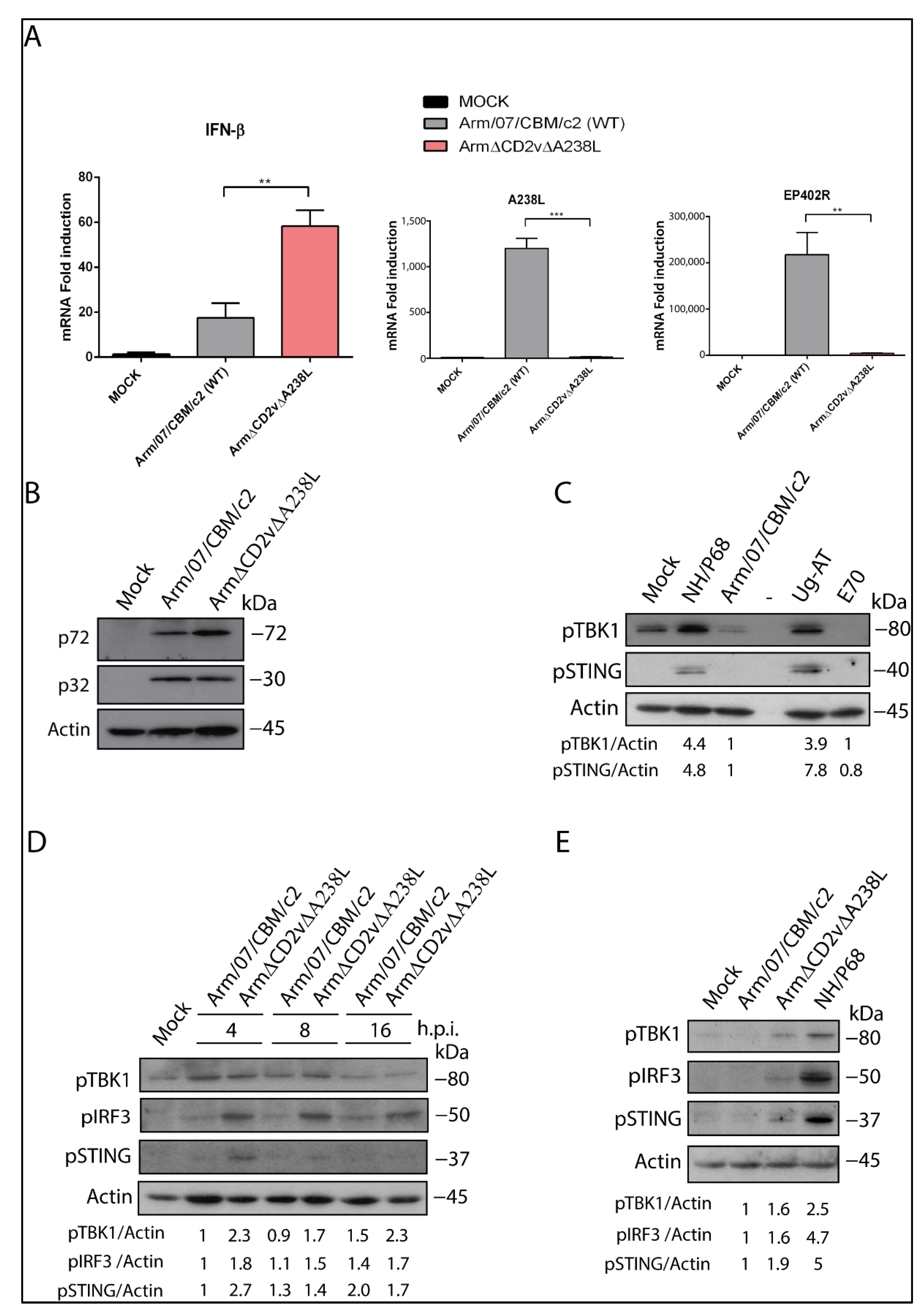 Vaccines 10 01992 g003 Vaccines 10 01992 g003