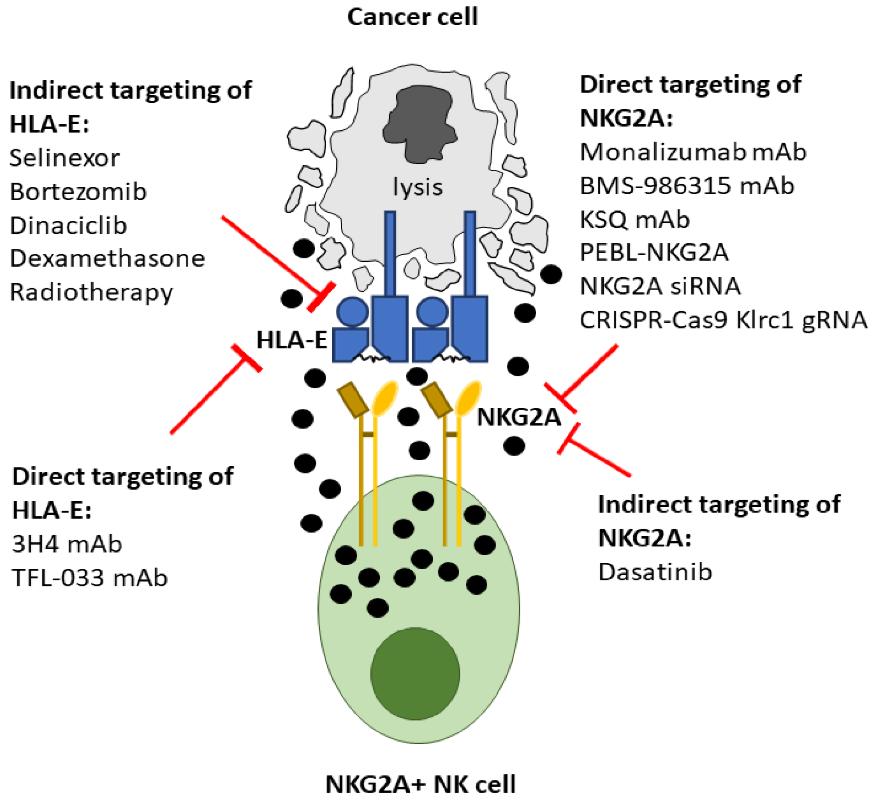 Vaccines 10 01993 g002
