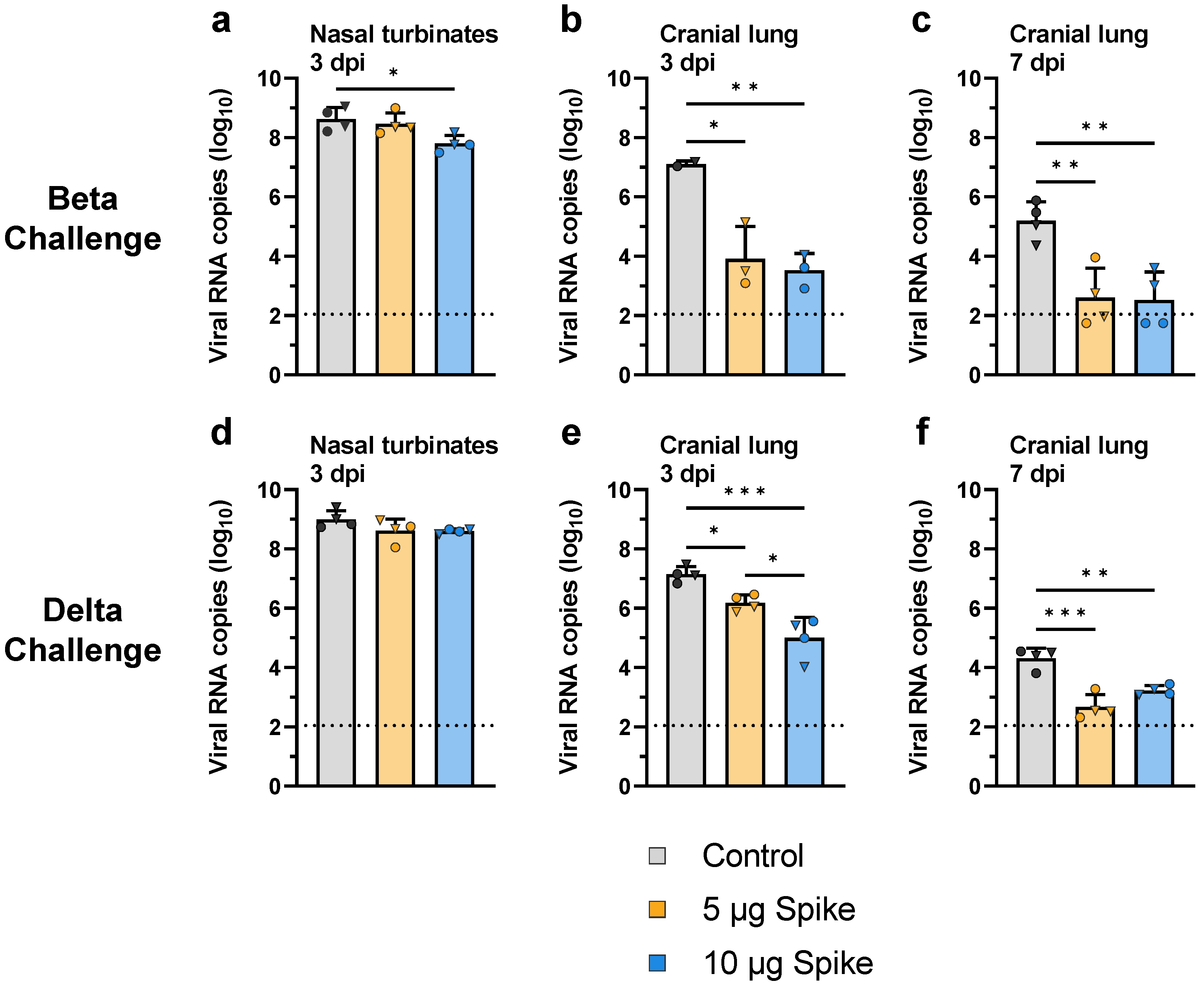 Vaccines 10 01997 g006 Vaccines 10 01997 g006