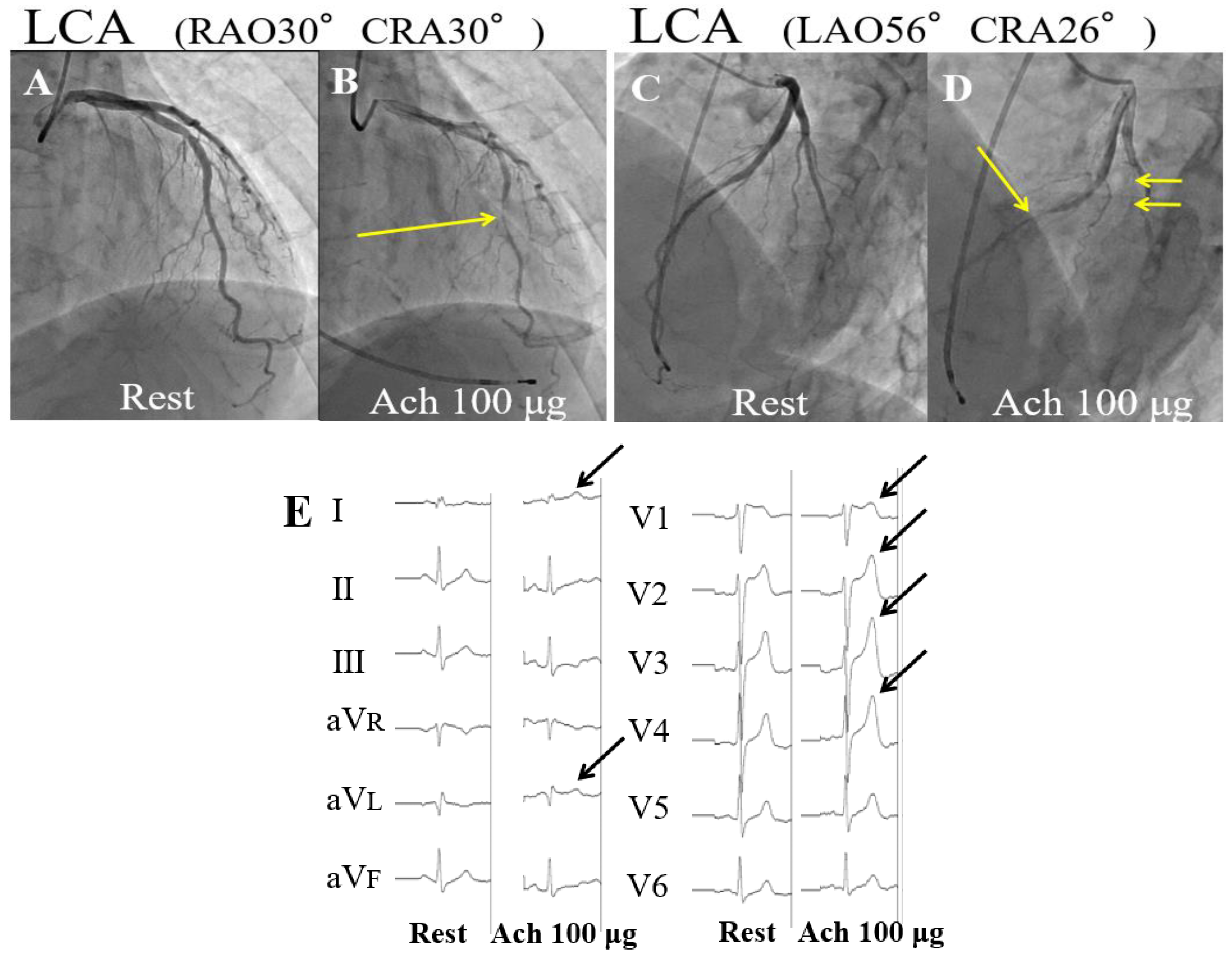 Vaccines 10 01998 g001