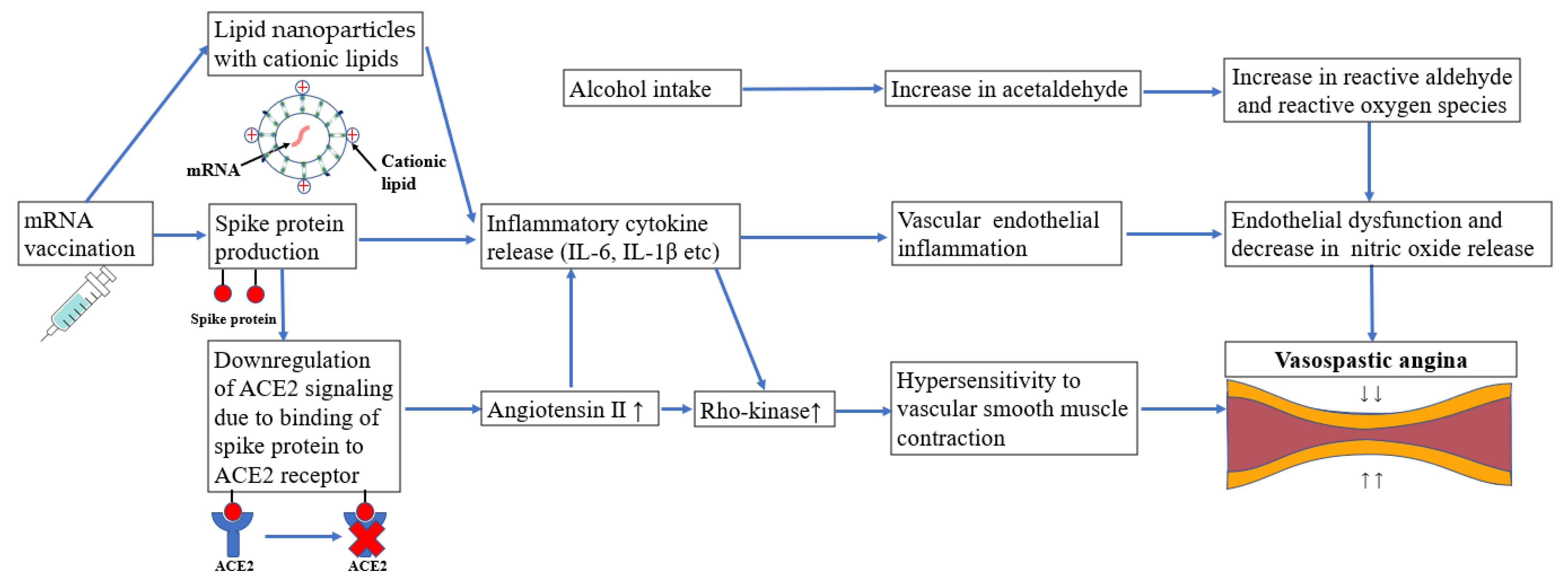 Vaccines 10 01998 g002