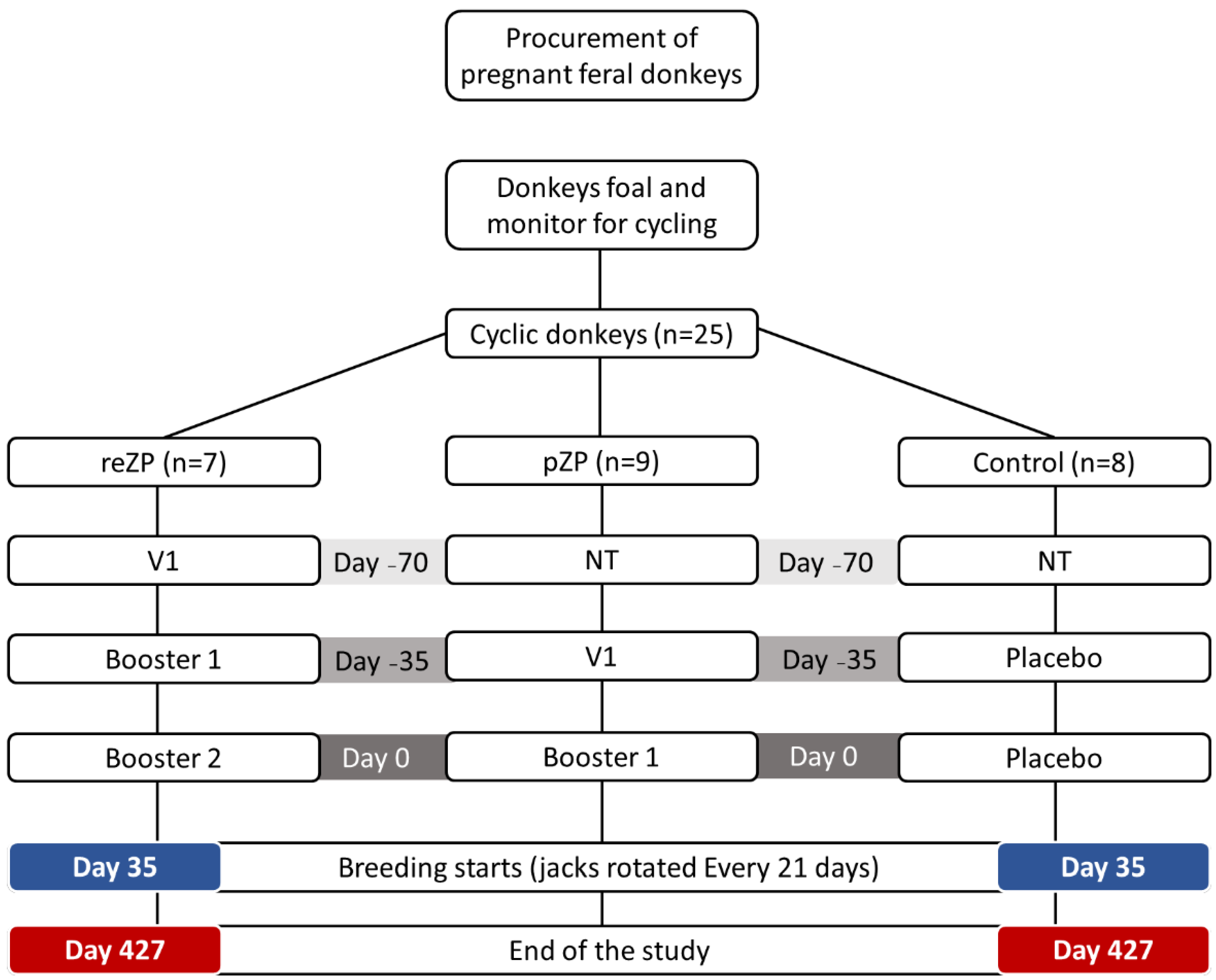 Vaccines 10 01999 g001 Vaccines 10 01999 g001