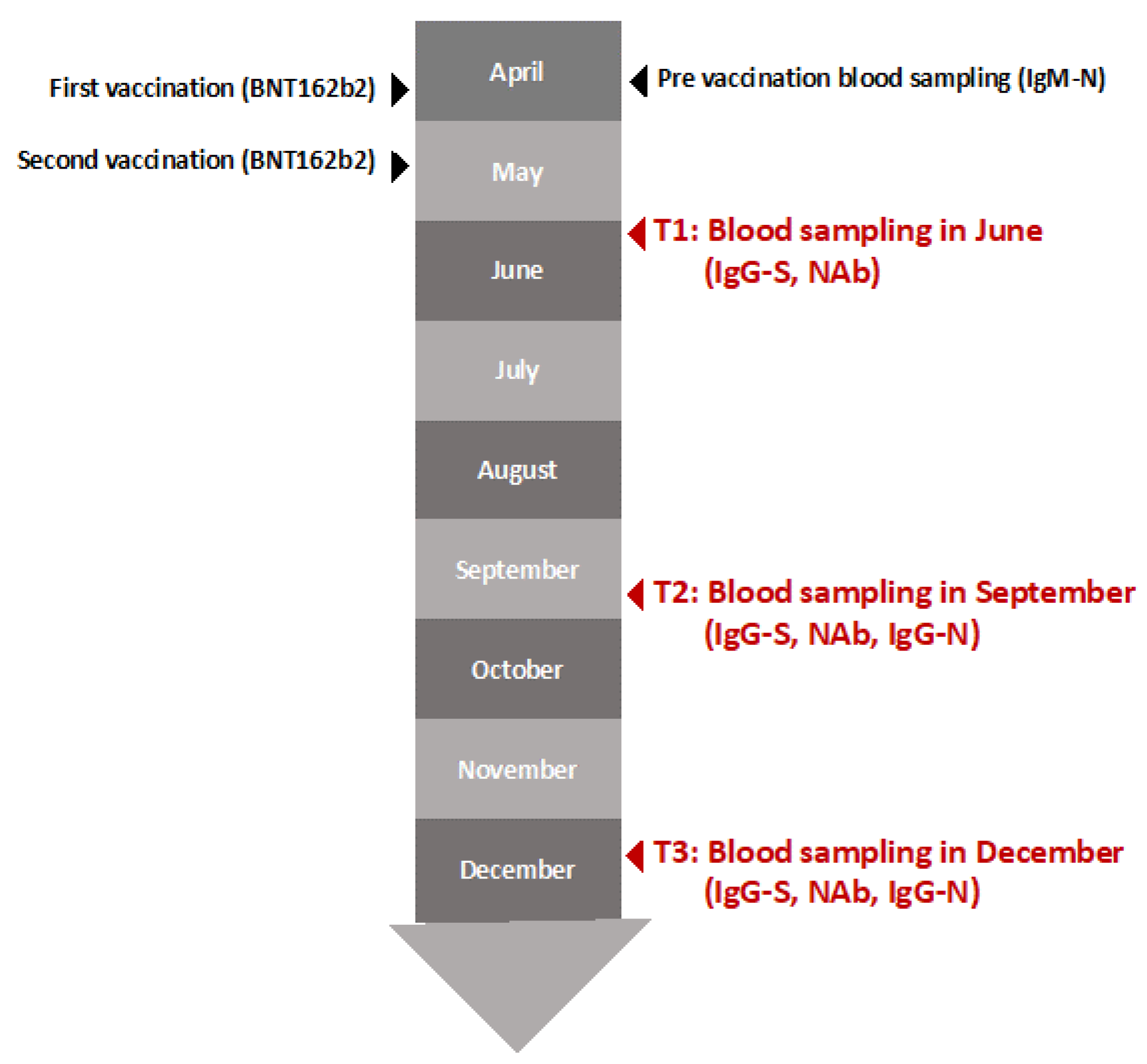 Vaccines 10 02007 g001