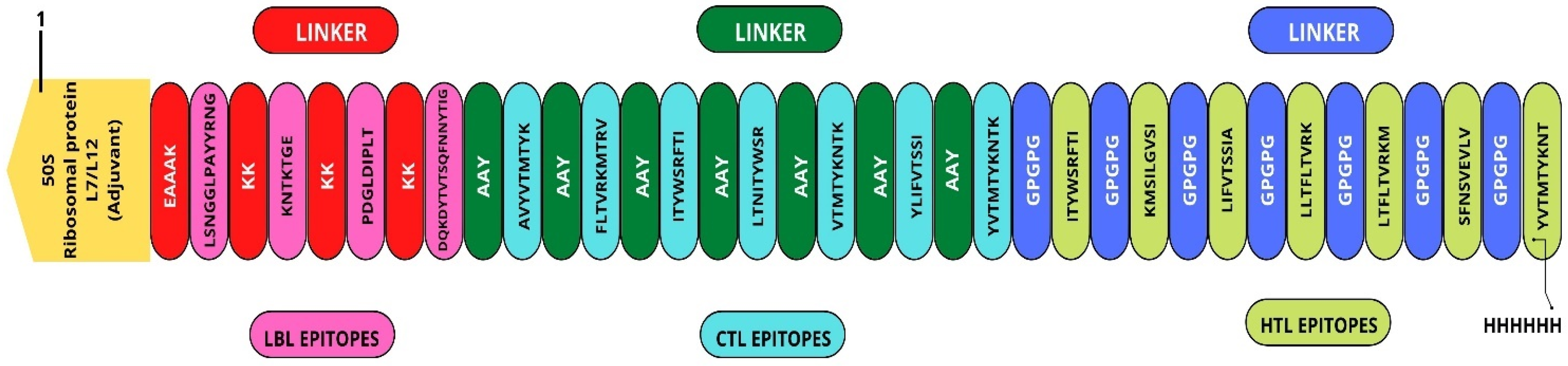 Vaccines 10 02010 g005 Vaccines 10 02010 g005