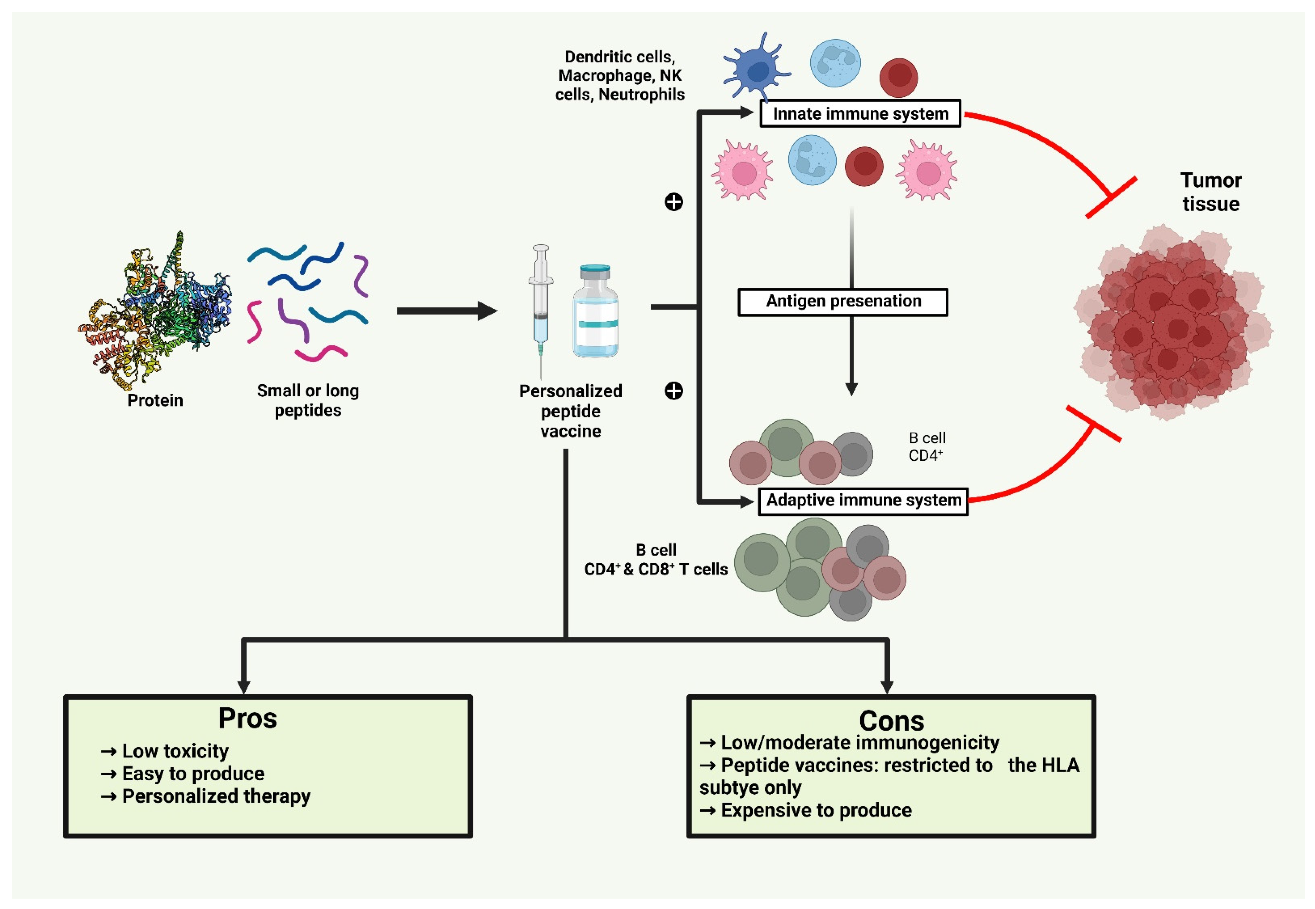 Vaccines 10 02011 g004 Vaccines 10 02011 g004