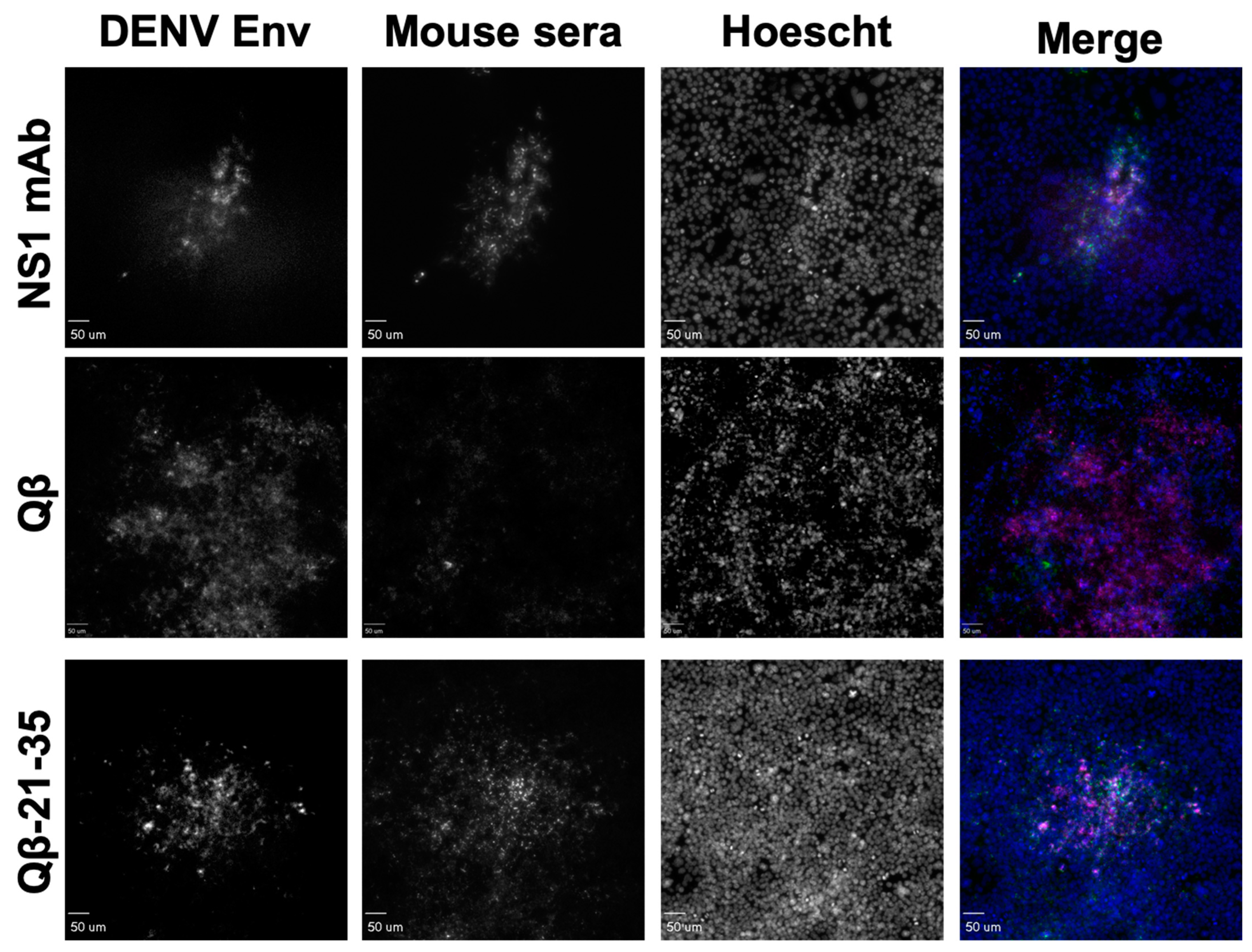 Vaccines 10 02028 g006 Vaccines 10 02028 g006