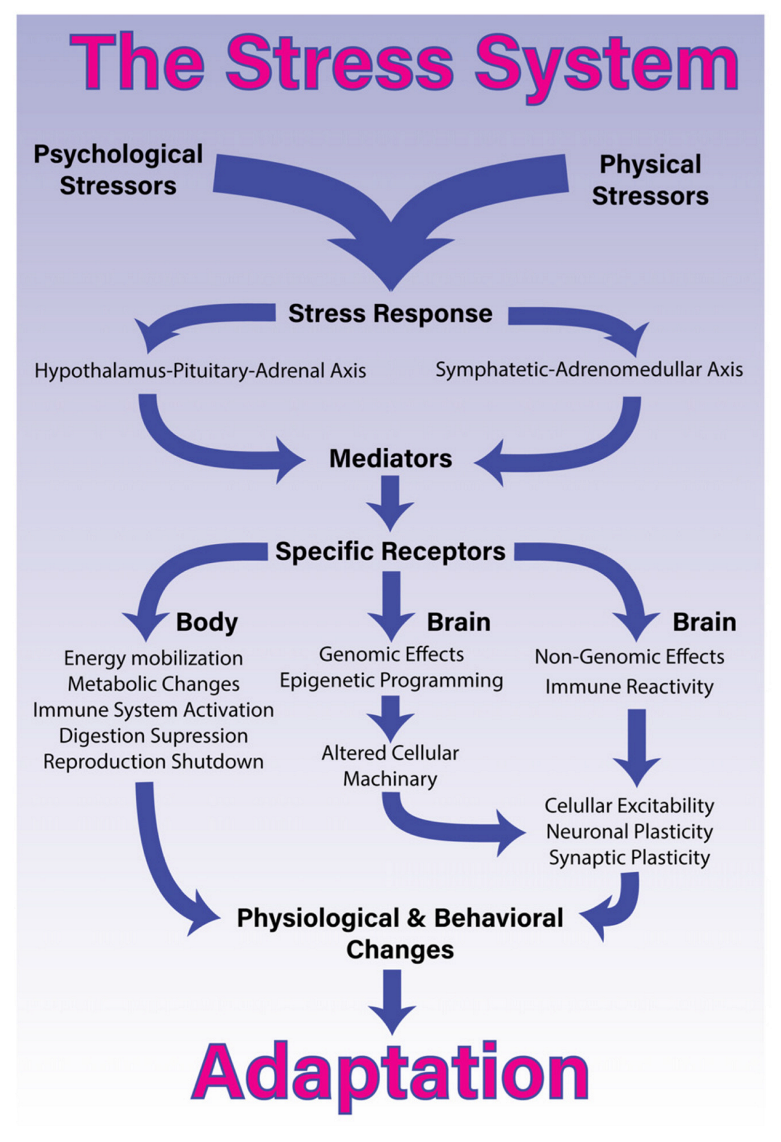 Vaccines 10 02031 g003 Vaccines 10 02031 g003