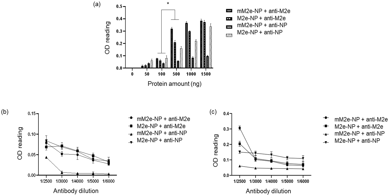 Vaccines 10 02066 g007 Vaccines 10 02066 g007