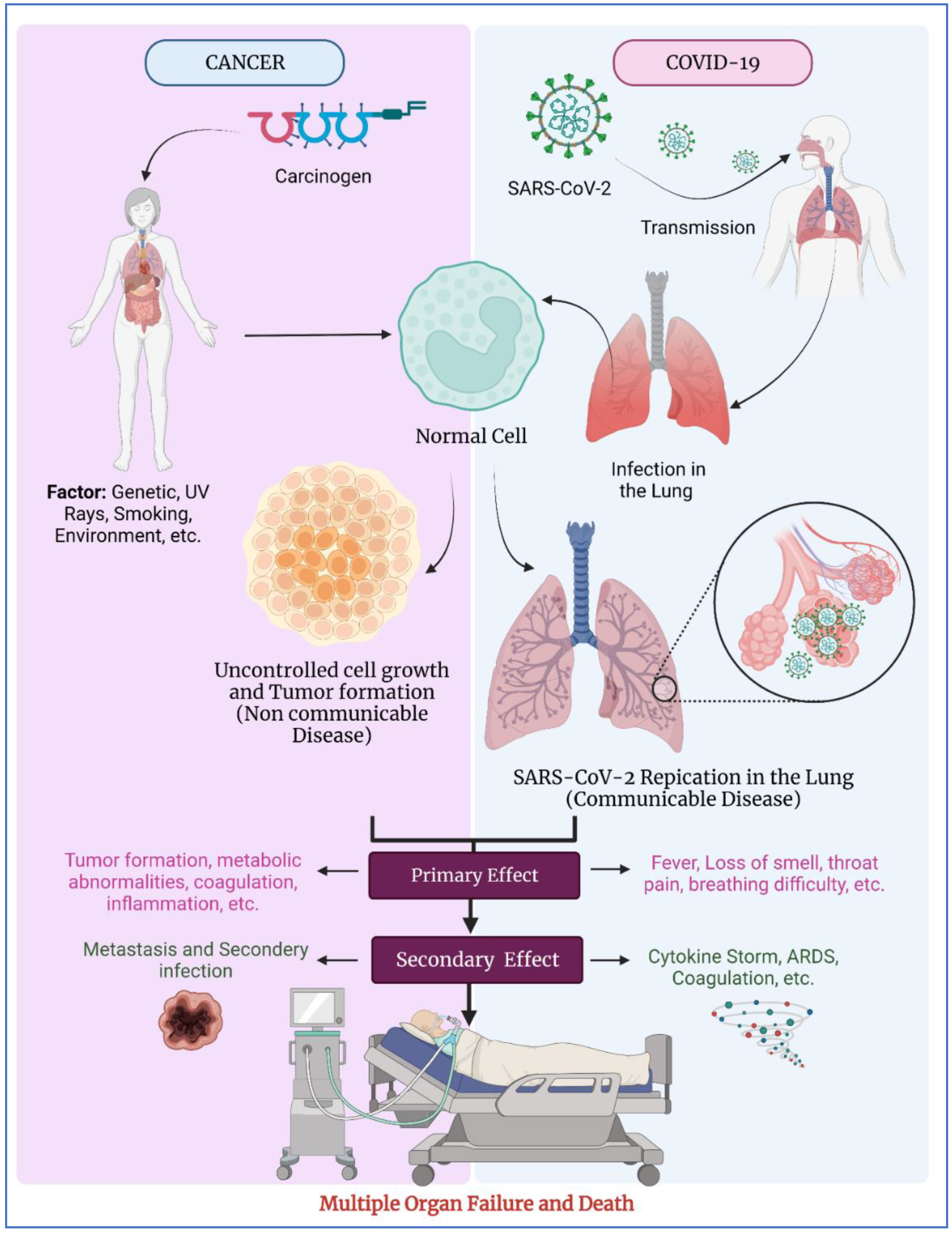 Vaccines 10 02072 g001 Vaccines 10 02072 g001