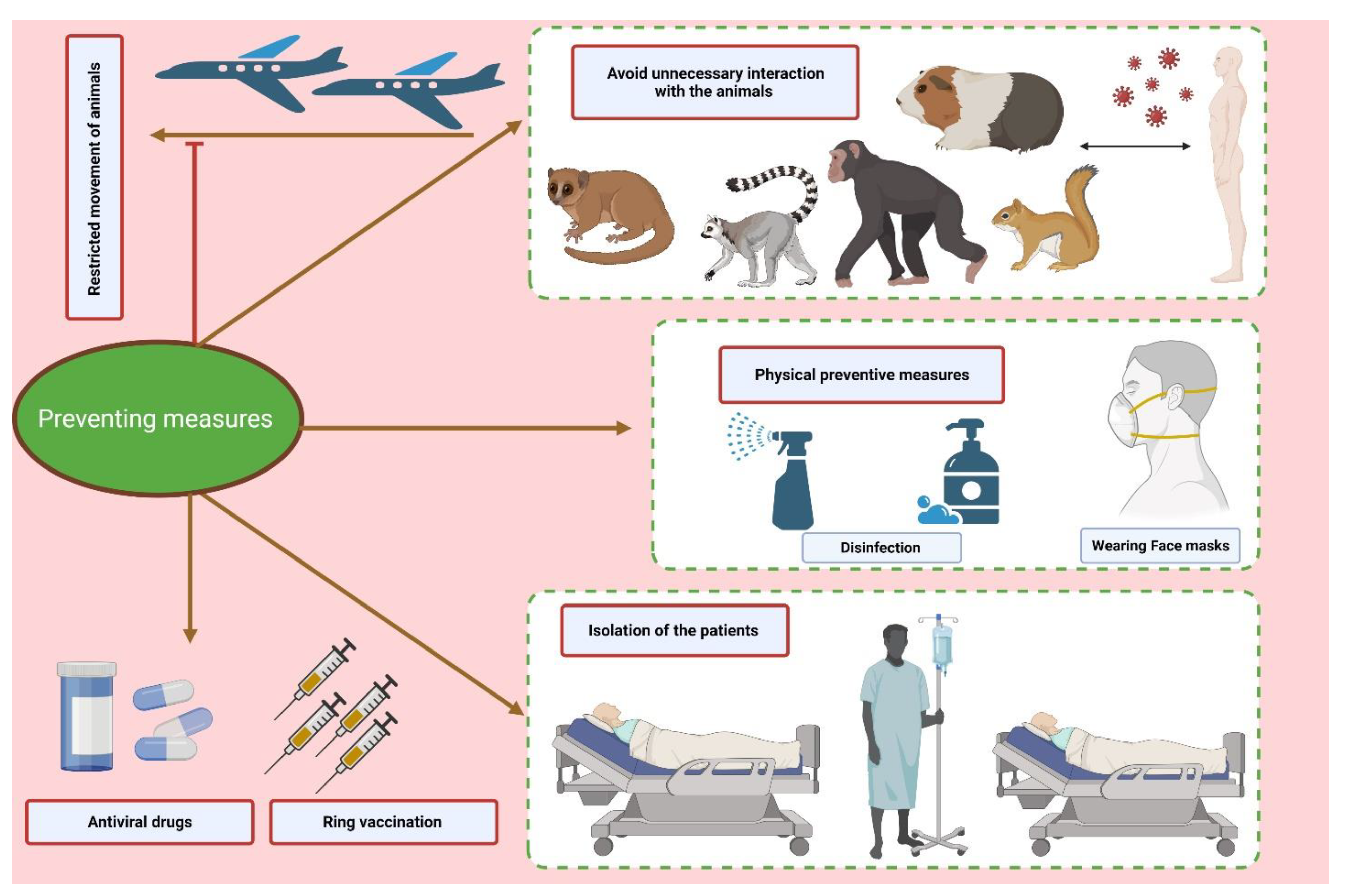 Vaccines 10 02091 g004 Vaccines 10 02091 g004