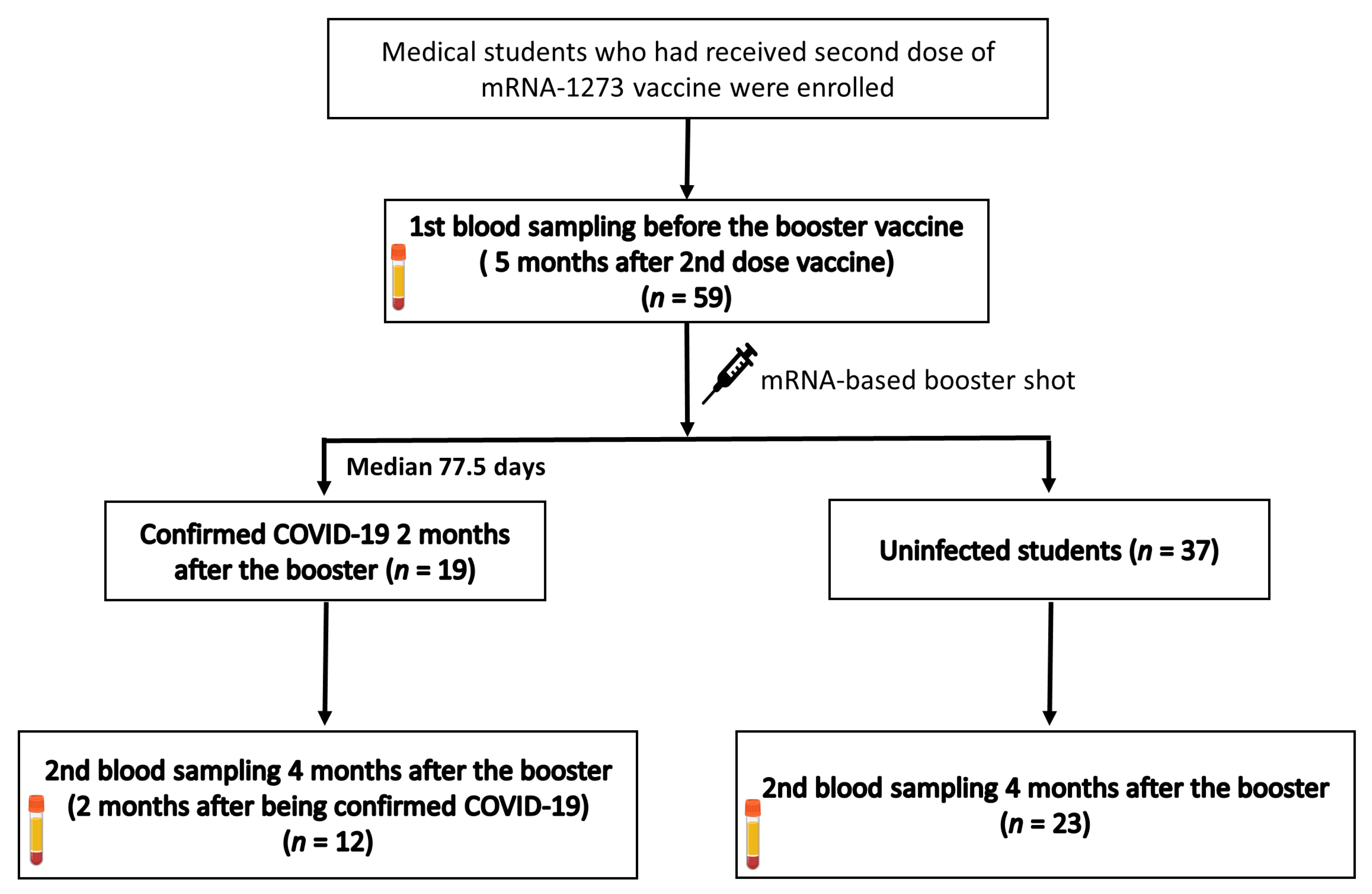 Vaccines 10 02102 g001